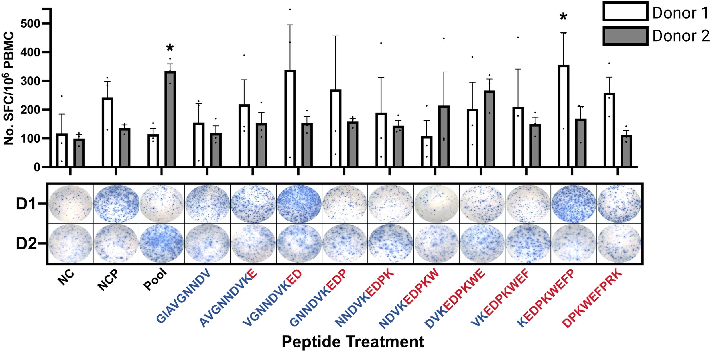 Bar graph showing the number of SFC per million PBMC for Donor 1 (white bars) and Donor 2 (gray bars), with asterisks indicating significant differences. Below are circular images illustrating the ELISpot assay results for different peptide sequences, comparing responses from two donors labeled D1 and D2.