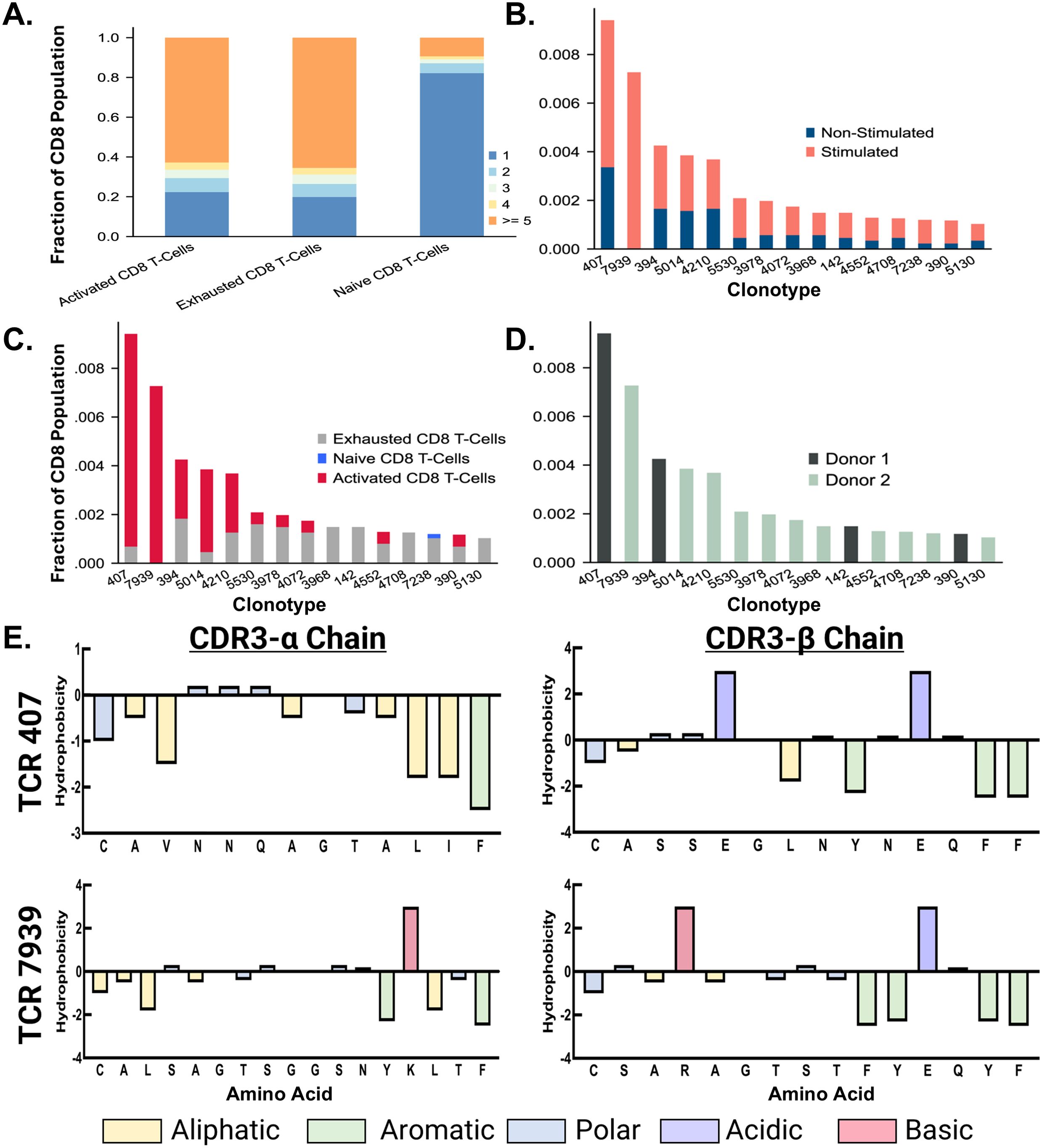 Five charts illustrate the fraction of CD8 T-cell populations and TCR characteristics. Chart A shows stacked bars for activated, exhausted, and naive CD8 T-cells with color-coded categories. Chart B presents stimulated versus non-stimulated conditions for specific markers. Chart C compares TCR markers across T-cell types. Chart D contrasts two donors for the same markers. Chart E features hydrophobicity scores for CDR3-α and CDR3-β chains of TCR 407 and TCR 7939, with amino acids categorized by properties: aliphatic, aromatic, polar, acidic, or basic.