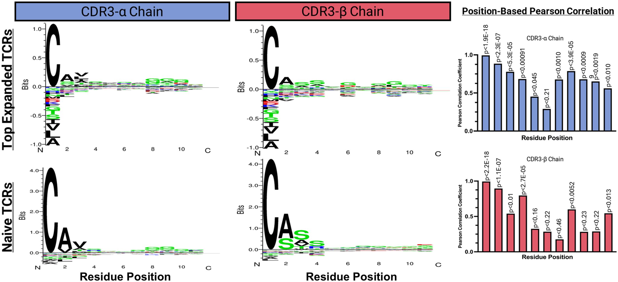 The image shows visualizations of TCR CDR3 sequences and position-based Pearson correlations. On the left, sequence logos depict the top expanded and naïve TCRs for CDR3-α and CDR3-β chains, showing amino acid distributions at different positions. On the right, bar charts display Pearson correlation coefficients for residue positions in CDR3-α and CDR3-β chains, with p-values indicating significance levels.