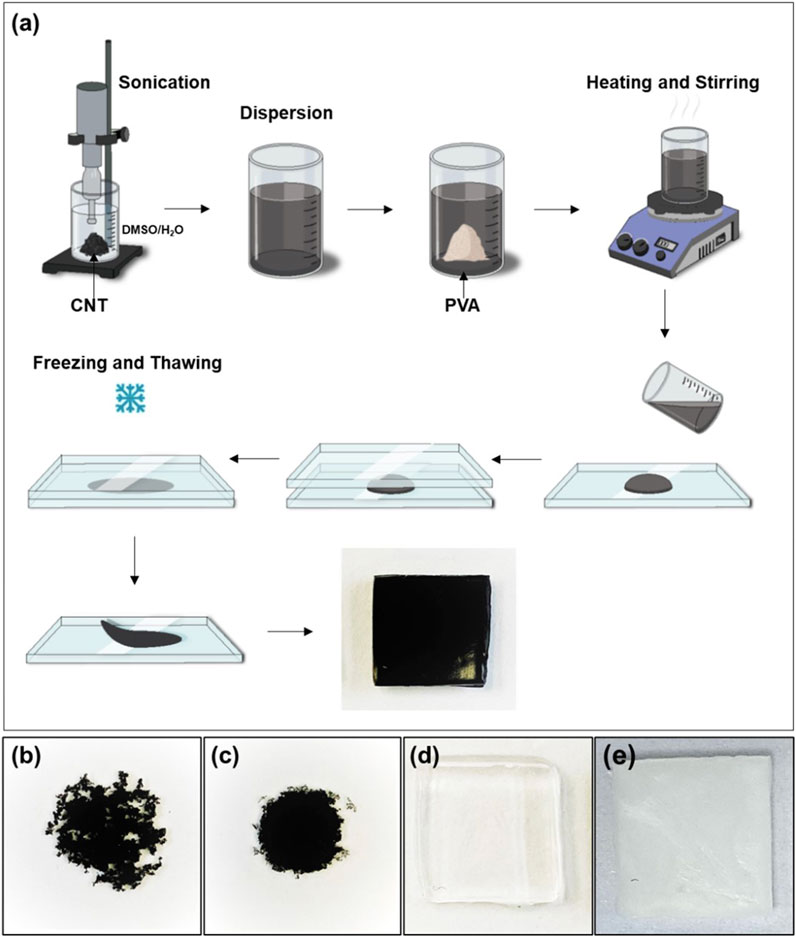 Diagram illustrating the preparation of a composite material from carbon nanotubes (CNT) and polyvinyl alcohol (PVA). (a) Steps: 1) ultrasound sonication of CNTs in a DMSO/water mixture; 2) mixing with PVA powder; 3) heating and stirring. The mixture is poured between two glass plates, subjected to freeze-thaw cycles, and formed into a PVA-CNT cryogel. (b–e) Images of the materials at various stages.