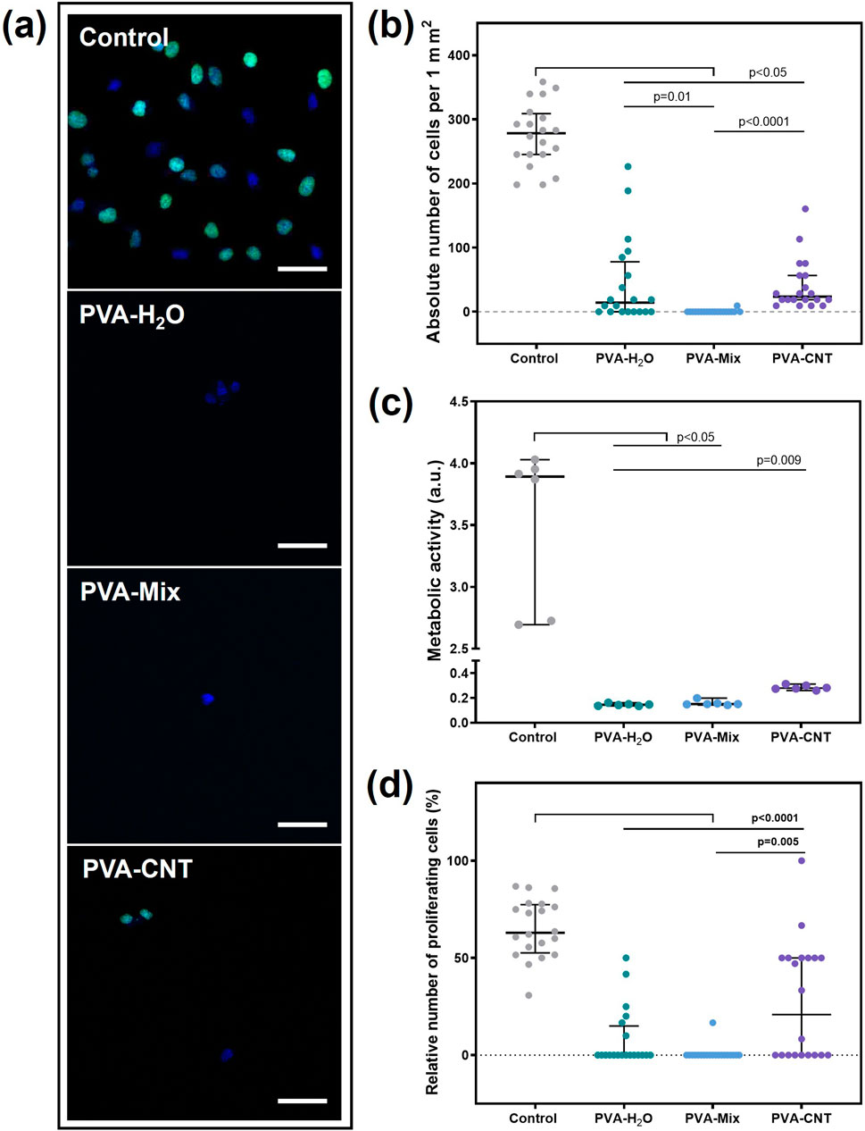 (a) Fluorescence images showing living cells adhesion on different material samples: Control, PVA-H₂O, PVA-Mix, and PVA-CNT. (b) Dot plot comparing absolute cell numbers per square millimeter across samples. (c) Bar graph displaying metabolic activity, showing a significant decrease in sample groups compared to Control. (d) Dot plot highlighting the relative number of proliferating cells, indicating reduced proliferation in sample groups.