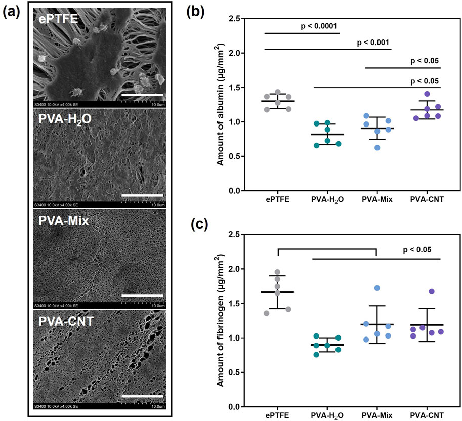 Panel (a) shows SEM images of ePTFE, PVA-H₂O, PVA-Mix, and PVA-CNT materials after platelet-rich plasma, contact. Panel (b) is a dot plot comparing the amount of albumin on these materials. Panel (c) shows a dot plot of fibrinogen amounts on the same materials.