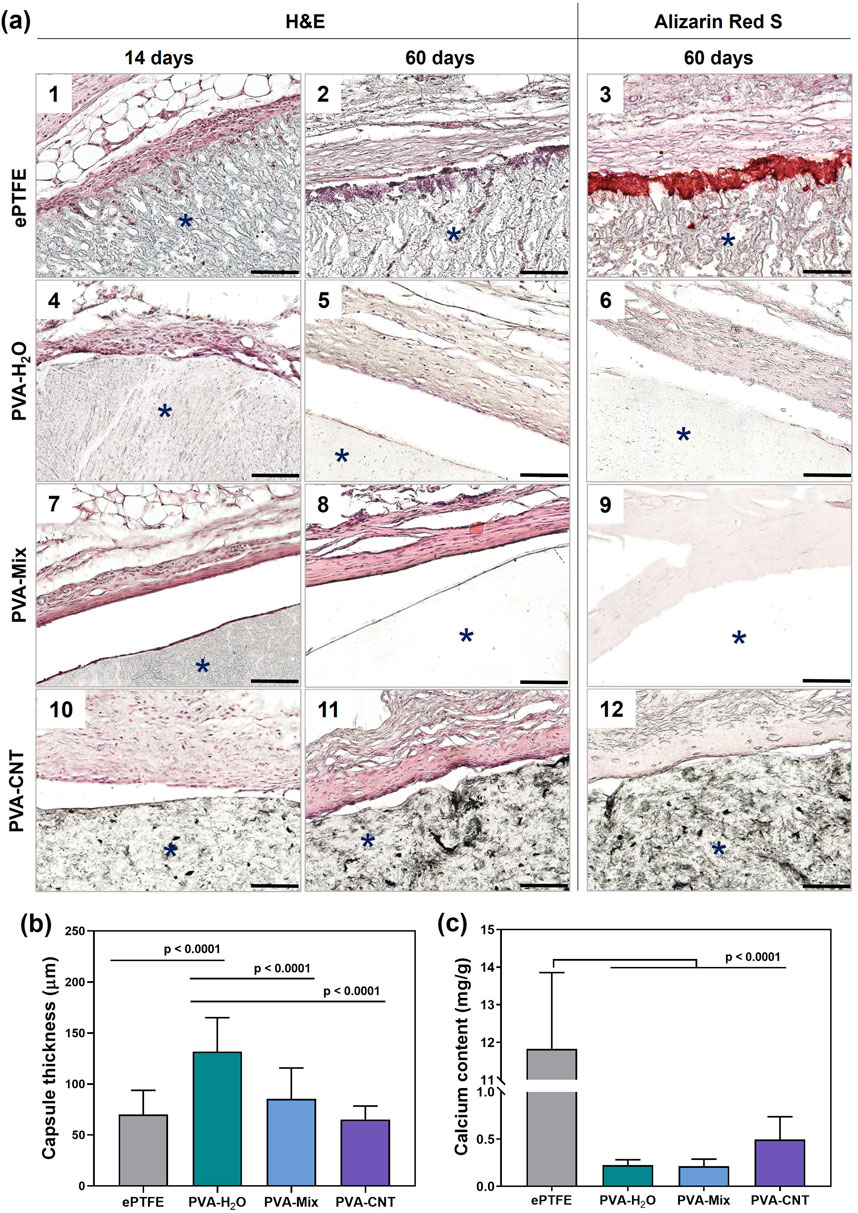 (a) shows histological images of explants with different materials (ePTFE, PVA-H2O, PVA-Mix, PVA-CNT) after 14 and 60 days in vivo , using H&E and Alizarin Red S staining. Asterisks indicate implants. (b) is a bar graph displaying fibrouse capsule thickness for the four materials, with significant differences indicated. (c) is a bar graph showing calcium content in mg/g for each material, noting statistically significant differences (p < 0.0001).