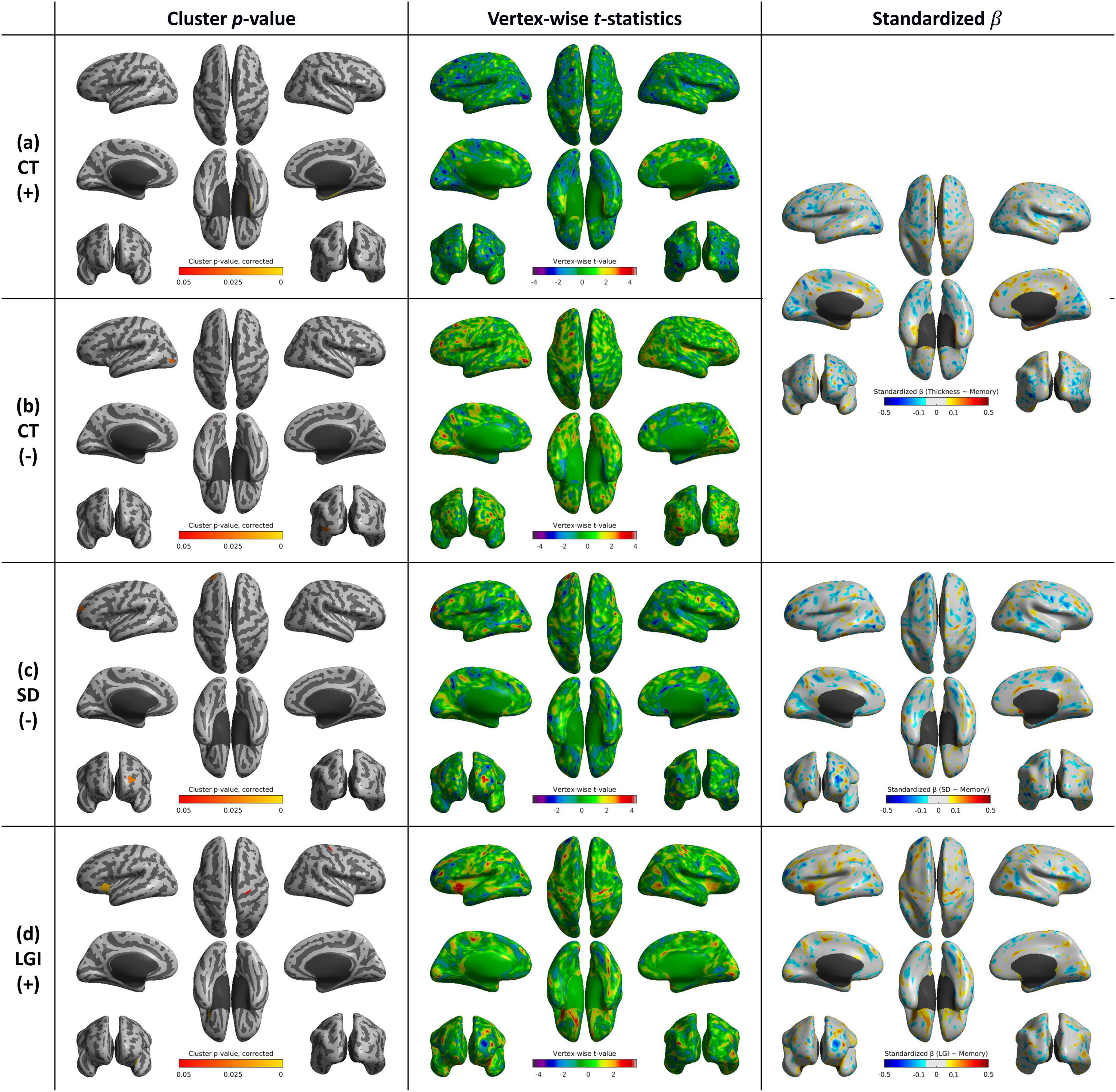Four sets of brain scan images show different metrics: (a) CT (+), (b) CT (-), (c) SD (-), and (d) LGI (+). Each set depicts cluster p-values, vertex-wise t-statistics, and standardized beta values, illustrating brain surface analyses using color gradients.