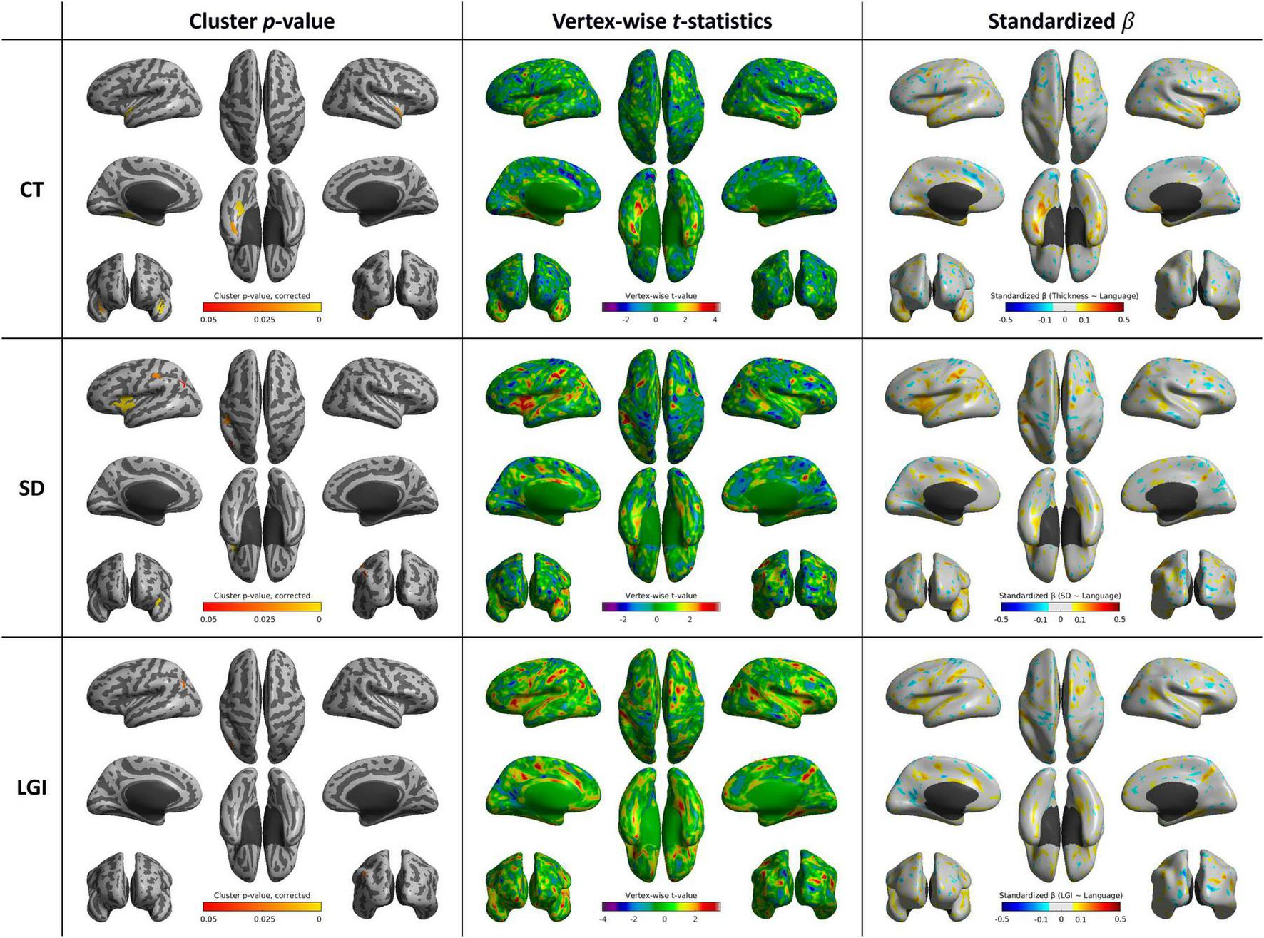 Brain imaging analysis with three rows labeled CT, SD, and LGI, showing different metrics: Cluster p-value, Vertex-wise t-statistics, and Standardized beta. Each row displays brain maps using color scales to indicate varying levels of significance or effect sizes. The color scales are presented below each column for reference.