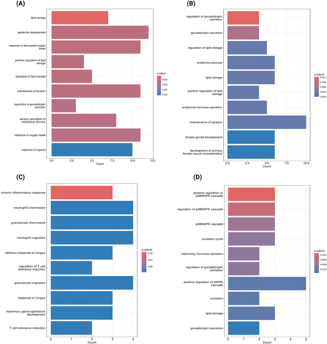 (A–D) Bar plots of enriched GO biological processes in gene modules associated with PE subtypes. The y-axis lists GO terms; the x-axis shows gene counts. Bar colors reflect adjusted p-values. (A) Enrichment in lipid storage and hypoxia response in severe PE. (B) Endocrine-related processes and gonad development in early-onset PE. (C) Immune functions such as inflammation and chemotaxis in early-onset PE. (D) MAPK cascade regulation in late-onset PE.