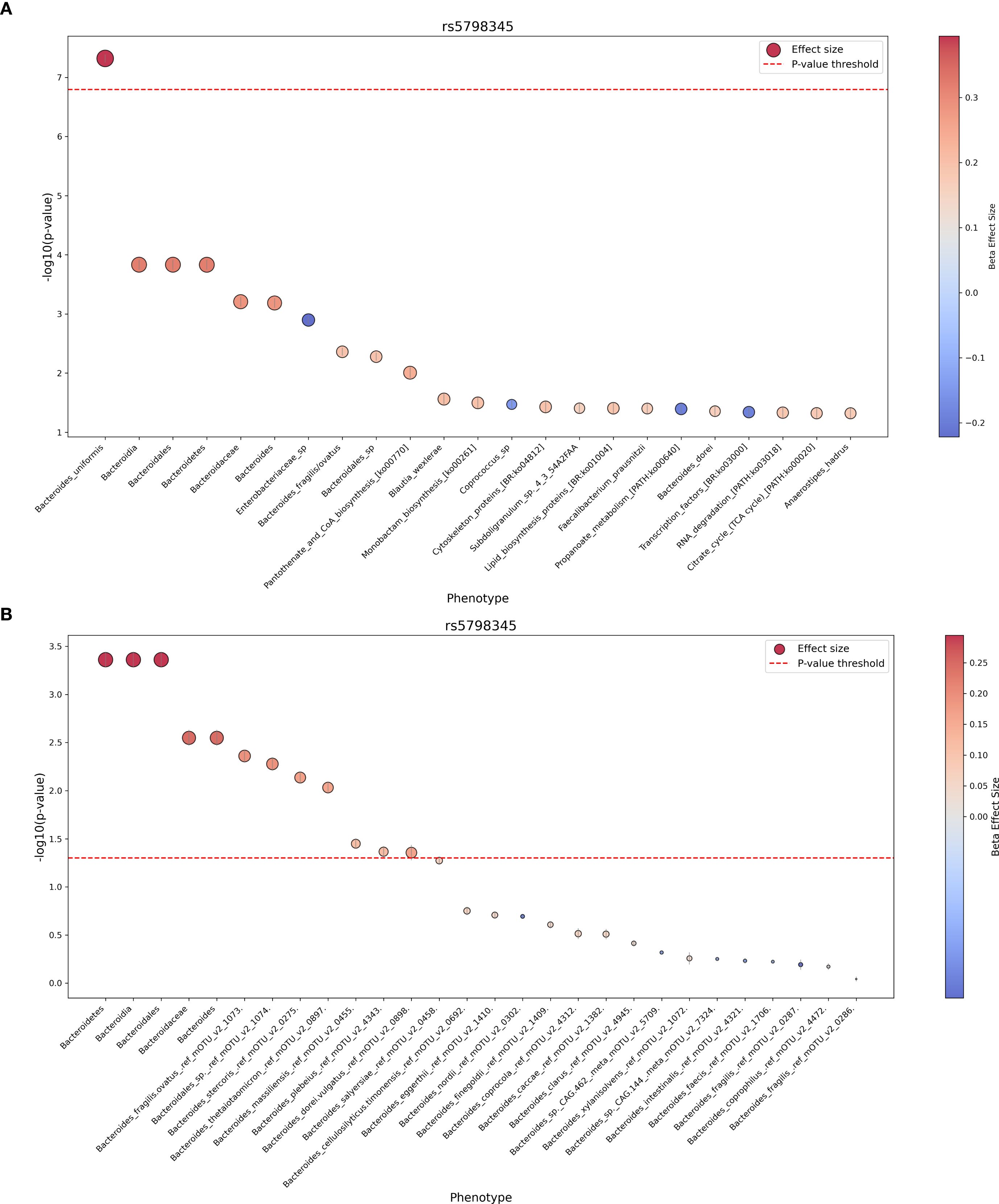 Two scatter plots labeled A and B show the association between phenotypes and the variant rs5798345. Both plots display the negative logarithm of the p-value on the vertical axis against various phenotypes on the horizontal axis. A red dotted line indicates the p-value threshold. Circle sizes represent effect sizes, with colors ranging from red to blue. Plot A has a maximum negative log p-value around 7, with strong associations for Bacteroides and Parabacteroides. Plot B shows a maximum negative log p-value around 3.5, with similar patterns and phenotypes.