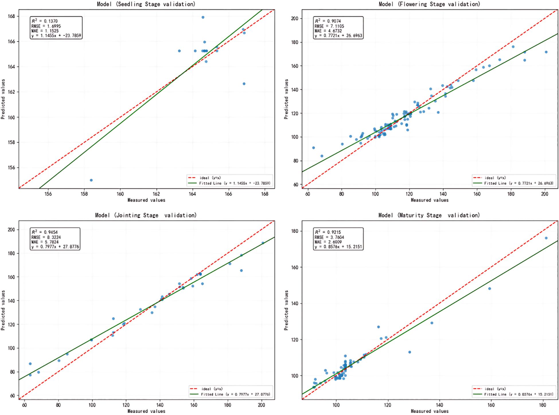 Four scatter plots show model validation across different growth stages: Seedling, Flowering, Jointing, and Maturity. Each plot compares predicted versus measured values with fitted lines. R-squared values range from 0.1370 in the Seedling Stage to 0.9454 in the Jointing Stage, indicating varying model accuracy.