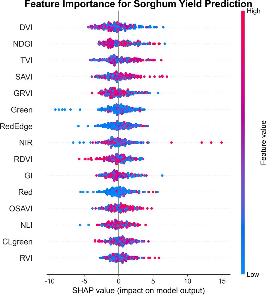 Dot plot showing feature importance for sorghum yield prediction using SHAP values. Features like DVI, NDGI, and others are plotted on the y-axis, with SHAP values on the x-axis ranging from -10 to 15. Colors denote feature values from low (blue) to high (red), indicating their impact on model output.