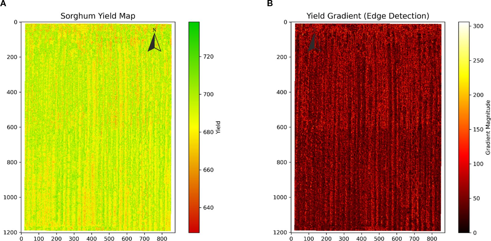 Sorghum yield maps are shown in two panels. Panel A displays a yield map with a color gradient from green to red, indicating varying yield levels. Panel B shows a yield gradient with edge detection, using a color gradient from black to yellow, illustrating gradient magnitudes. Both maps include a compass rose in the top right corner and have labeled color scales on the right.