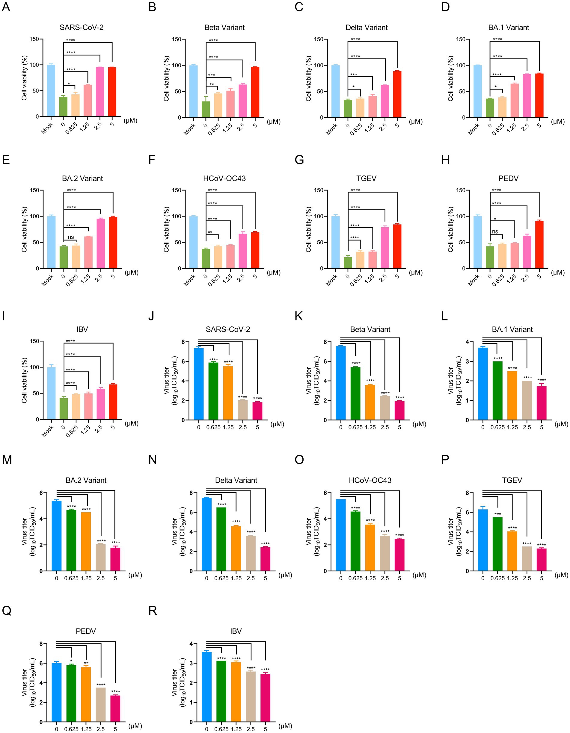 Bar charts showing the effects of varying concentrations (0, 0.625, 1.25, 2.5, 5 micromolar) on cell viability and virus titer for SARS-CoV-2, Beta, Delta, BA.1, BA.2 variants, HCoV-OC43, TGEV, PEDV, and IBV. Panels A-I illustrate cell viability, while J-R present viral titers. Statistical significance is indicated by asterisks. Higher concentrations generally decrease cell viability and virus titer.