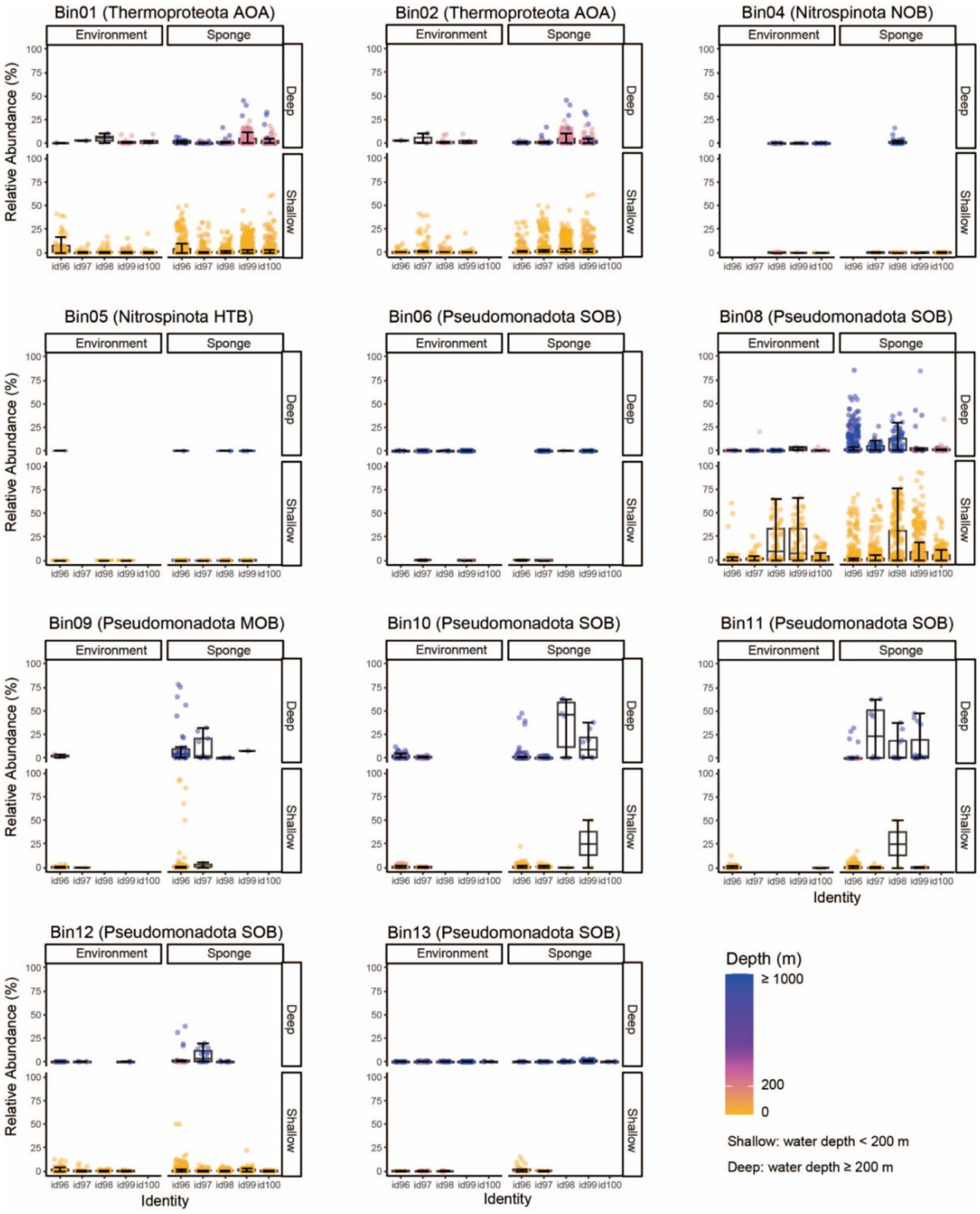 Box plots showing the global distribution patterns of microbial genomes across two dimensions: free-living versus sponge-associated environments, and shallow versus deep samples. Each plot corresponds to a different bin labeled Bin01 to Bin13, excluding Bin03 and Bin07. Colors represent depth: dark purple for over one thousand meters, transitioning to yellow at zero meters. Depth categories are labeled as shallow (less than two hundred meters) and deep (two hundred meters or more). Each plot assesses microbial identity (x-axis) and abundance percentage (y-axis).