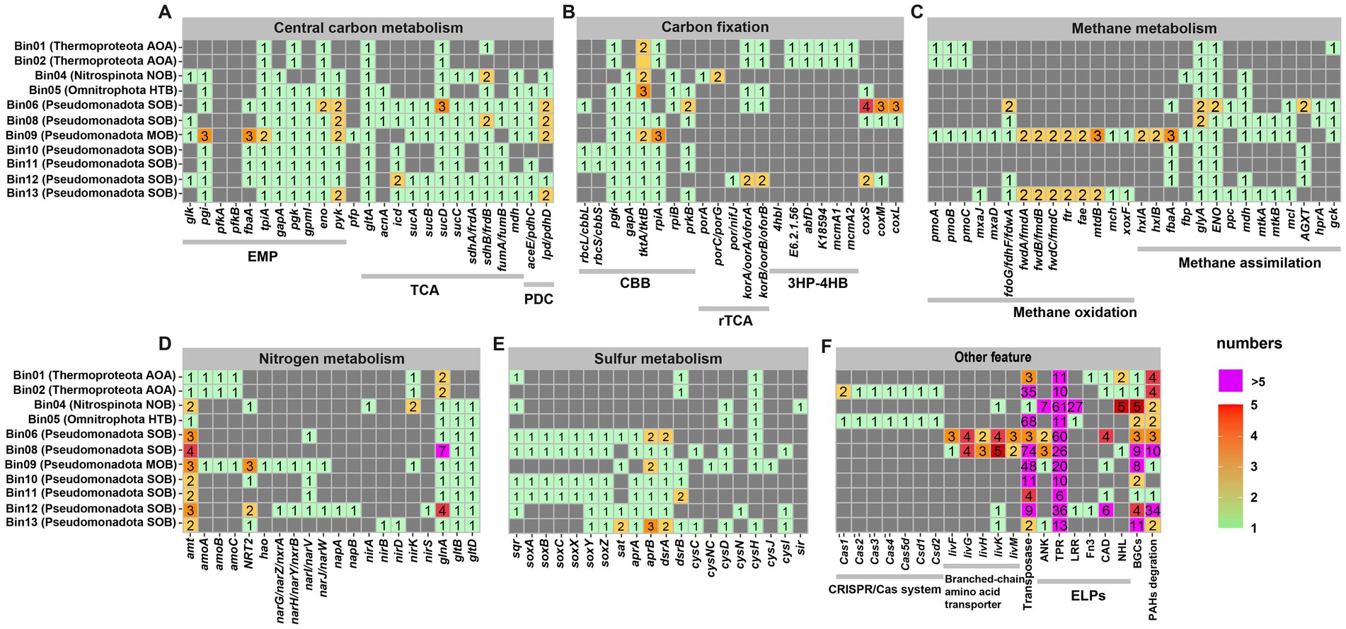 Heatmap showing the presence of genes across various metabolisms and features in different bins. Panels A to F represent central carbon, carbon fixation, methane, nitrogen, sulfur metabolism, and other features respectively. Gene presence is indicated by color intensity, with a key ranging from one (green) to greater than five (purple). Bins label different bacterial and archaeal groups, such as Thermoproteota, Nitropsinota, and Pseudomonadota. Each panel lists specific pathways or functions, with highlighted numbers indicating the relative abundance of corresponding genes in each bin.