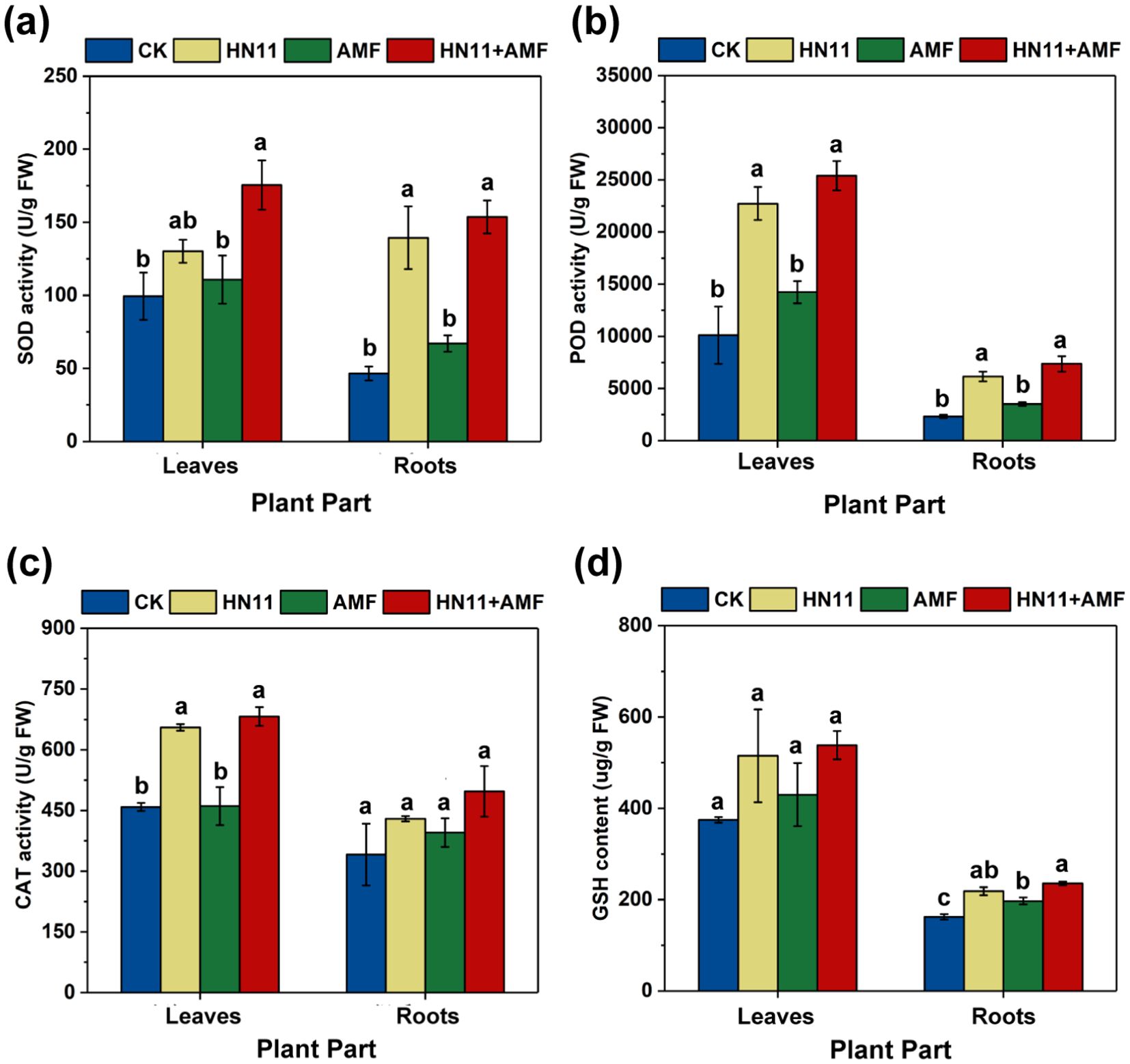 Bar charts displaying enzyme activities and GSH content in leaves and roots across four treatments: CK (blue), HN11 (yellow), AMF (green), and HN11+AMF (red). (a) SOD activity shows highest values in HN11+AMF, (b) POD activity peaks in leaves treated with HN11, (c) CAT activity is highest in AMF, and (d) GSH content is elevated in HN11+AMF for leaves. Data is measured in U/μg FW or μg/g FW with different letters indicating significant differences.