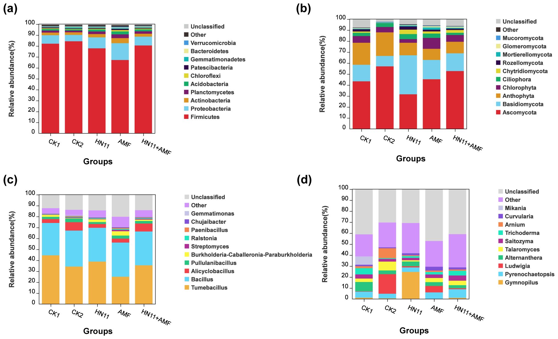 Four bar charts labeled (a) through (d) show relative abundance percentages of various taxa across five treatments: CK1, CK2, HN11, AMF, HN11+AMF. (a) Focuses on bacterial phyla, dominated by Firmicutes. (b) Shows fungal phyla, with Ascomycota prevalent. (c) Highlights bacterial genera like Bacillus and Ralstonia. (d) Displays fungal genera, with Mikania and Talaromyces prominent. Each chart uses a color-coded legend.