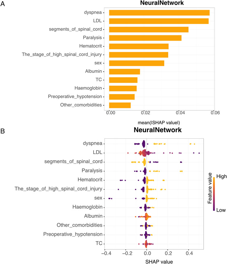 Bar and scatter plots illustrate feature importance and SHAP values for a neural network model. Panel A shows a bar plot of features like dyspnea and LDL ranked by mean SHAP value, indicating their impact. Panel B presents a scatter plot of SHAP values for the same features, colored by feature value, showing individual contribution distribution.