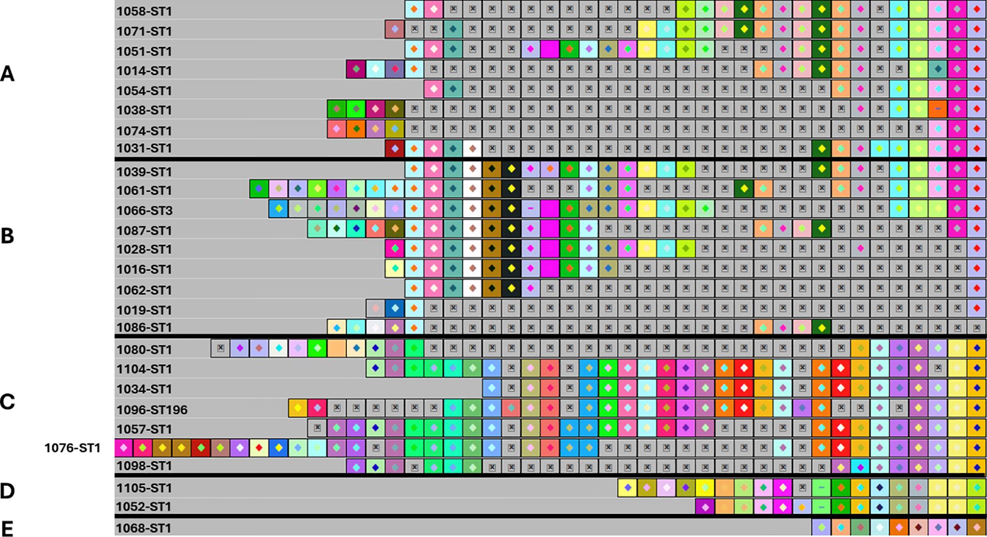 Color-coded matrix chart labeled with sections A through E on the left and numbered items on the top and left sides. Each cell contains differently colored symbols, representing various data points, arranged in patterned rows. The layout is divided by bold horizontal lines separating the sections.