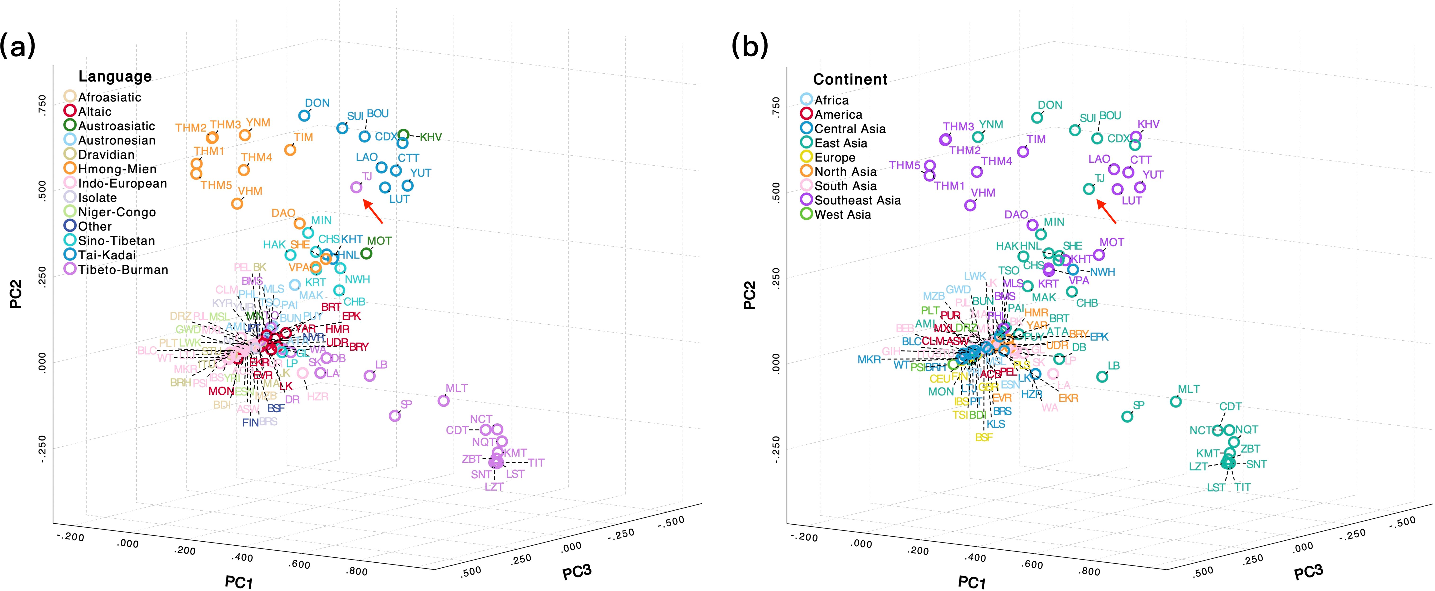 Two principal component analysis (PCA) plots showing different data categorizations. Plot (a) categorizes by language groups, with colors representing various language families such as Sino-Tibetan, Hmong-Mien, Tai-Kadai and Tibeto-Burman. Plot (b) categorizes by continent, with colors representing regions such as East Asia, Central Asia, and Southeast Asia. Both plots display data points scattered across three axes labeled PC1, PC2, and PC3.