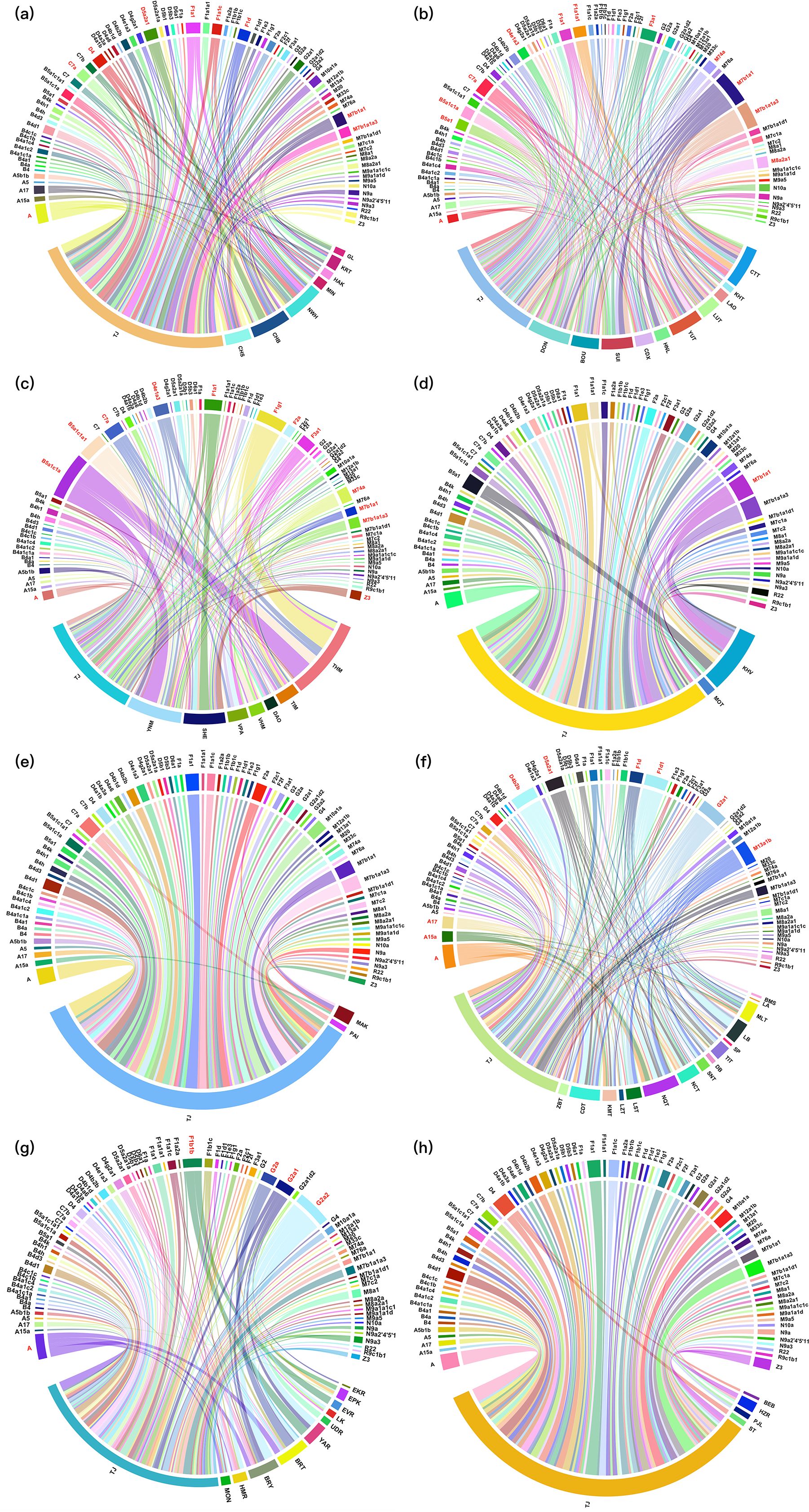 Eight chord diagrams labeled from (a) to (h), displaying colorful haplotype sharing between Tujia and other linguistic families.