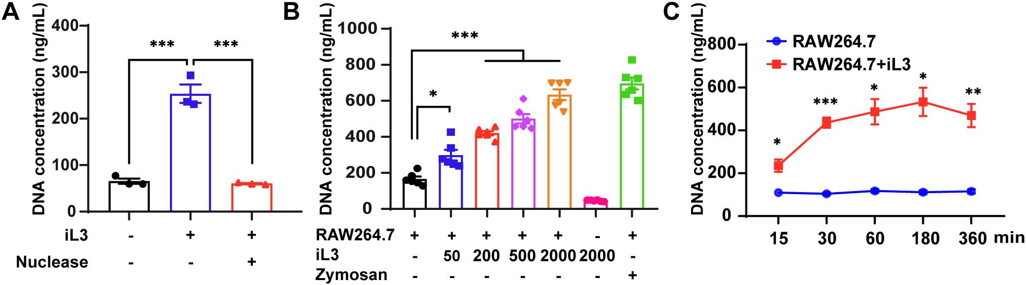 Three-panel chart displaying DNA concentration in nanograms per milliliter. Panel A shows varied DNA levels with and without iL3 and nuclease. Panel B compares RAW264.7 cells under different conditions with iL3 and zymosan concentrations. Panel C displays DNA concentration over time, highlighting differences between RAW264.7 and RAW264.7 plus iL3. Statistical significance is marked by asterisks.