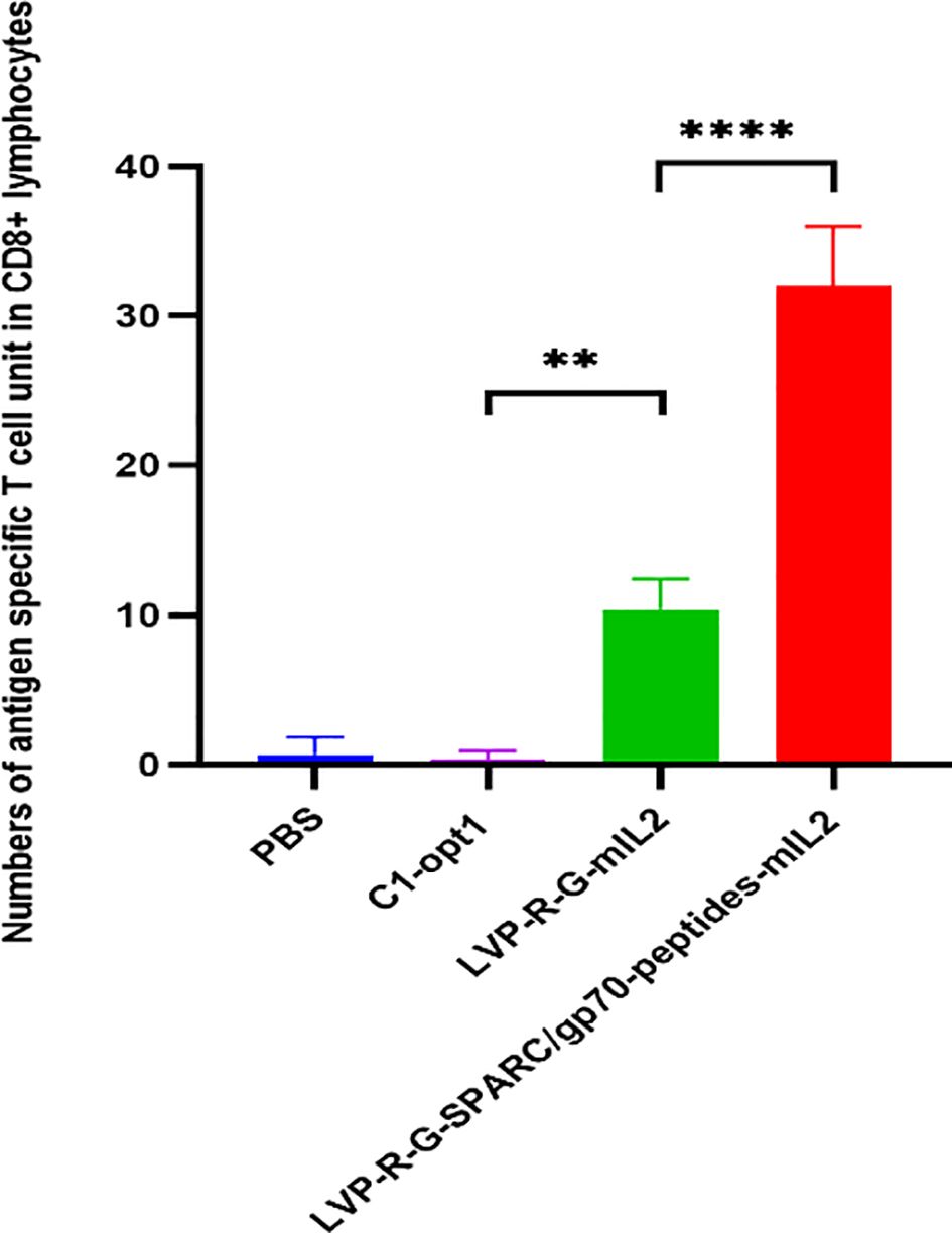 Bar chart showing the number of antigen-specific T cells in CD8+ lymphocytes across different treatments. PBS and C1-op1 show negligible counts. LVP-RGmIL2 has moderate counts, while LVP-R-G-SPARC/gp70-peptide-mIL2 shows the highest. Statistically significant differences are marked by asterisks.