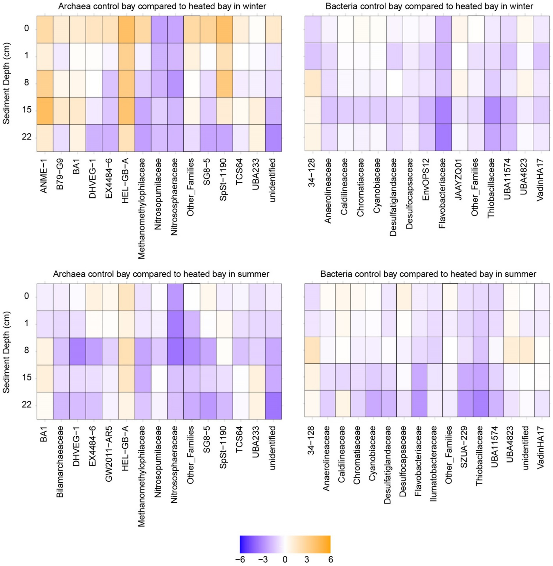 Four heatmaps compare microbial differences in sediment between control and heated bays in winter and summer. Each quadrant represents Archaea or Bacteria at different depths. Color intensity from purple to orange indicates variations in abundance. The left maps depict Archaea, and the right maps depict Bacteria, with sediment depths labeled from zero to twenty-two centimeters. The color bar ranges from minus six to six.