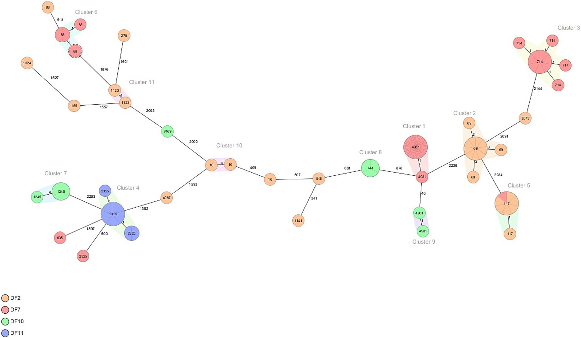 Network diagram illustrating clusters connected by nodes and lines. Nodes are color-coded: orange for DF2, pink for DF7, green for DF10, and blue for DF11, representing different clusters. Clusters are labeled numerically, connected by lines, with each node having a unique numeric identifier.
