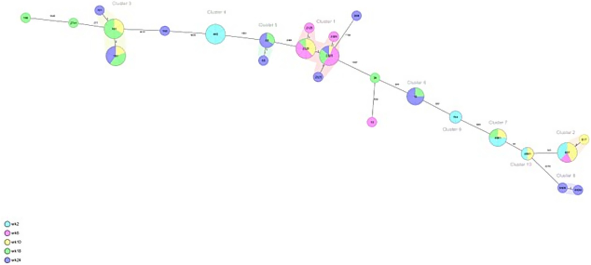 A network diagram displaying interconnected nodes grouped into clusters. Each node is represented as a circle with sections in different colors, indicating varied proportions. Clusters are labeled numerically, and a legend at the bottom left identifies colors with week values: w=2, w=5, w=10, w=15, and w=20. Lines connect the nodes, showing relationships and directions between them.
