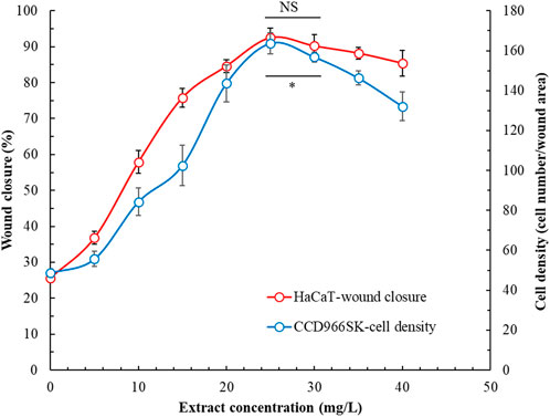 Line graph showing the relationship between extract concentration and wound closure percentage and cell density. The red line represents HaCaT-wound closure, increasing until about 40 mg/L before slightly decreasing. The blue line represents CCD966SK-cell density, showing a similar trend. An asterisk and