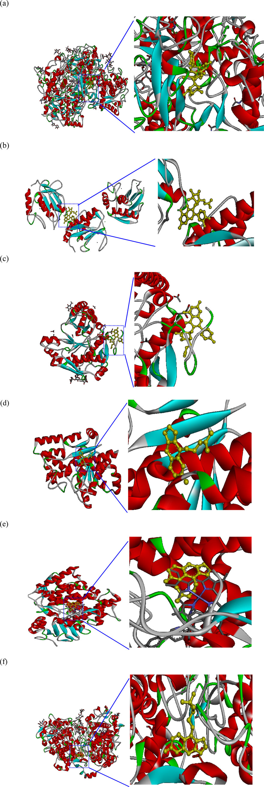 Three panels labeled (a), (b), and (c) show protein structures with color-coded helices, sheets, and loops. Zoomed-in sections highlight ligand interactions. Red helices, cyan sheets, and yellow ligand molecules are prominent. Blue lines connect the main structures to their detailed views for each panel. Three molecular structure images labeled d, e, and f are shown with focus on specific regions. Each structure features red helices, turquoise beta sheets, and gray strands, highlighting a yellow and blue molecule in the inset. Blue lines indicate areas of interest in the detailed views.