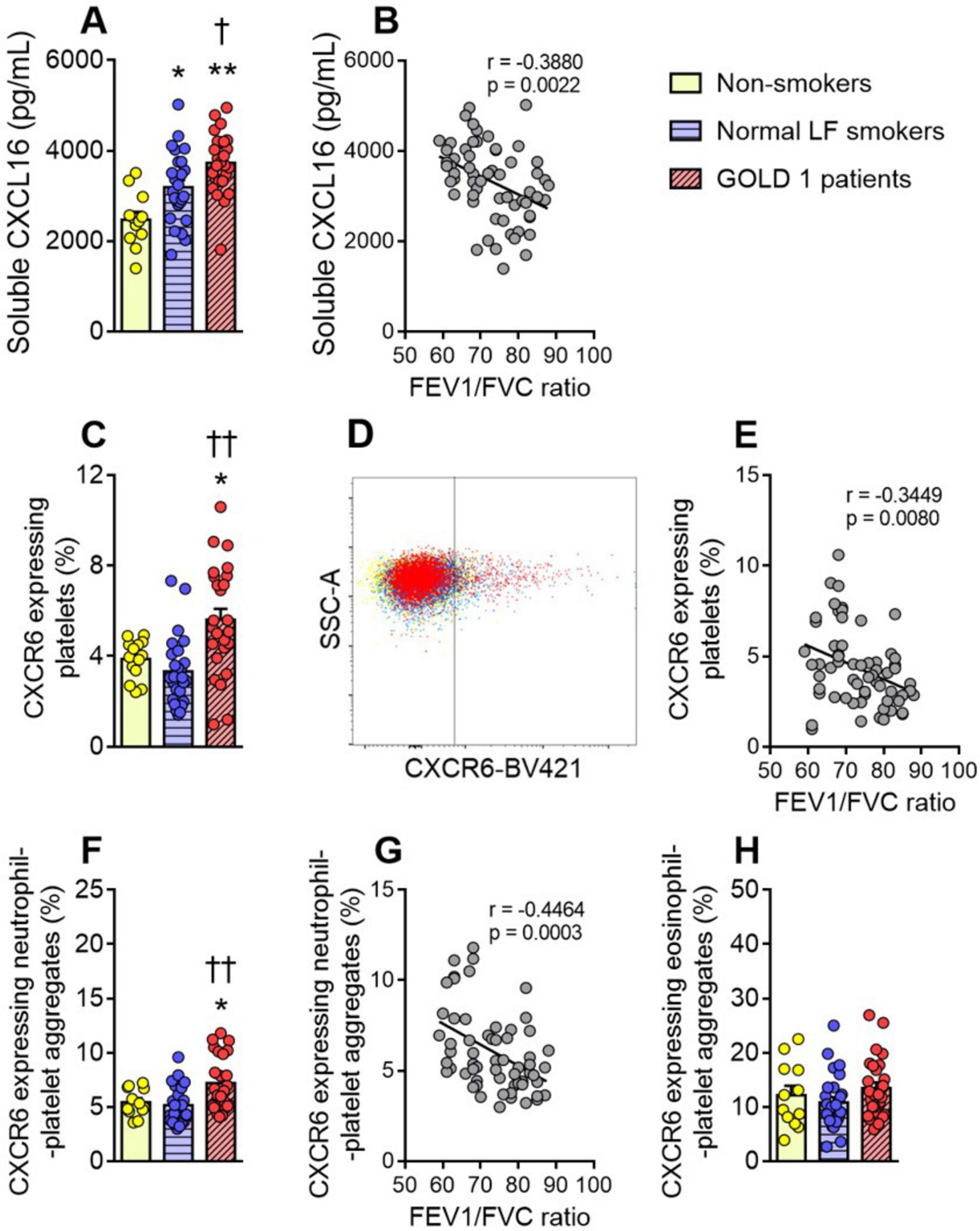 Bar and scatter plots show the relationship between soluble CXCL16 levels, CXCR6 expressing platelets, and FEV1/FVC ratio. Group comparisons include non-smokers, normal lung function smokers, and GOLD 1 patients. Significant correlations are indicated, highlighting variations in CXCR6 expression on platelets, neutrophil-platelet aggregates, and eosinophil-platelet aggregates. Statistical annotations denote significance.