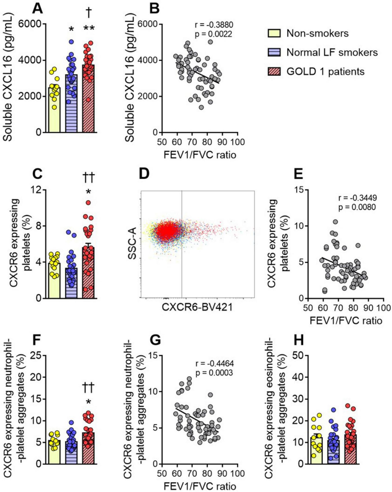 Bar and scatter plots show the relationship between soluble CXCL16 levels, CXCR6 expressing platelets, and FEV1/FVC ratio. Group comparisons include non-smokers, normal lung function smokers, and GOLD 1 patients. Significant correlations are indicated, highlighting variations in CXCR6 expression on platelets, neutrophil-platelet aggregates, and eosinophil-platelet aggregates. Statistical annotations denote significance.