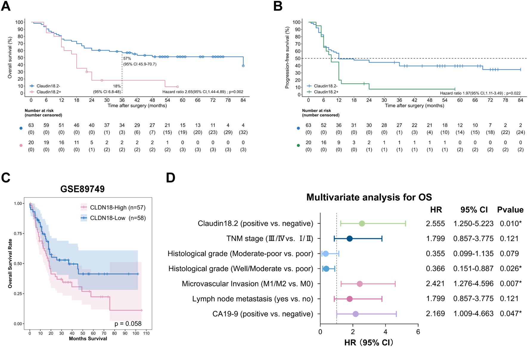Four-part figure showing graphs related to survival analysis and multivariate analysis. A: Kaplan-Meier plot for overall survival comparing Claudin18.2-positive and Claudin18.2-negative patients, showing hazard ratio 2.65 with significant p-value. B: Kaplan-Meier plot for progression-free survival with a hazard ratio of 1.97 and significant p-value. C: Kaplan-Meier plot from dataset GSE89749 showing survival rates for Claudin18-High and Claudin18-Low groups, p-value 0.058. D: Forest plot of multivariate analysis for overall survival, listing hazard ratios and p-values for different factors like Claudin18.2, TNM stage, and others, highlighting significant values.