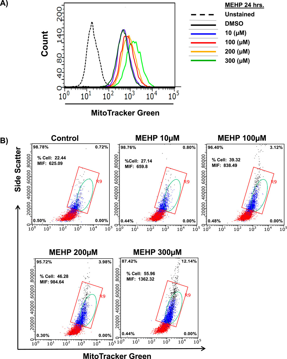 A) Line graph showing MitoTracker Green fluorescence intensity for various MEHP concentrations over 24 hours. A legend indicates six conditions: Unstained, DMSO, and MEHP at 10, 100, 200, and 300 micromolar. B) Five dot plots display side scatter versus MitoTracker Green for control and MEHP concentrations of 10, 100, 200, and 300 micromolar. Each plot includes a percentage of cells and mean fluorescence intensity.