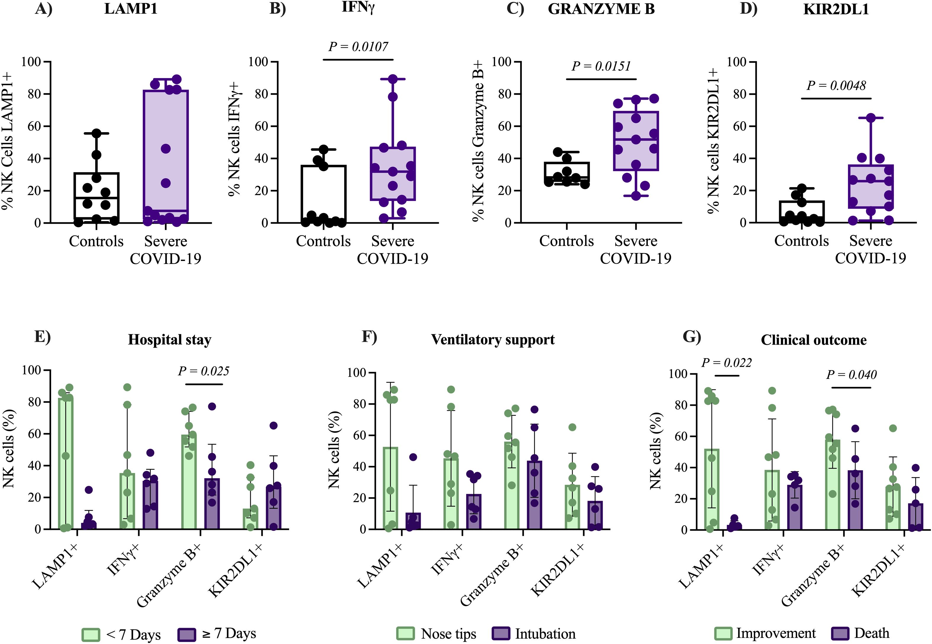 Graphs showing the percentage of NK cells with various markers in different conditions. Panels A-D compare controls with severe COVID-19 patients for LAMP1, IFNγ, Granzyme B, and KIR2DL1, showing significant differences. Panels E-G show data for hospital stay, ventilatory support, and clinical outcome, comparing groups by duration of stay, type of ventilatory support, and clinical outcomes. Statistical significance is indicated for several comparisons.