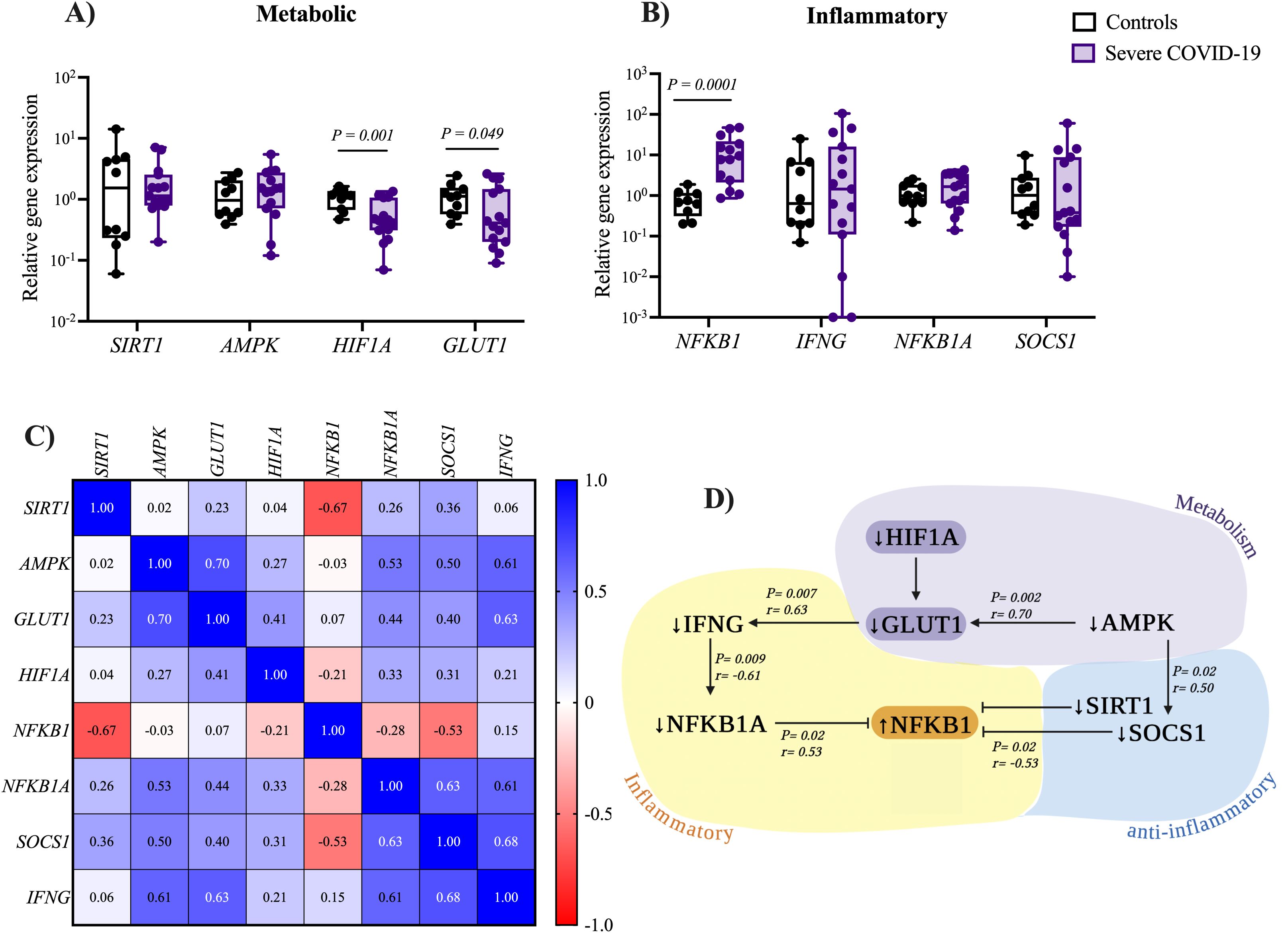Box plots showing relative gene expression for metabolic and inflammatory markers between controls and severe COVID-19 groups, highlighting statistical significance. A heatmap illustrates correlations between these markers. A schematic indicates interactions among HIF1A, GLUT1, IFNG, NFKB1, and others, emphasizing metabolic, inflammatory, and anti-inflammatory pathways with p-values and correlation coefficients.