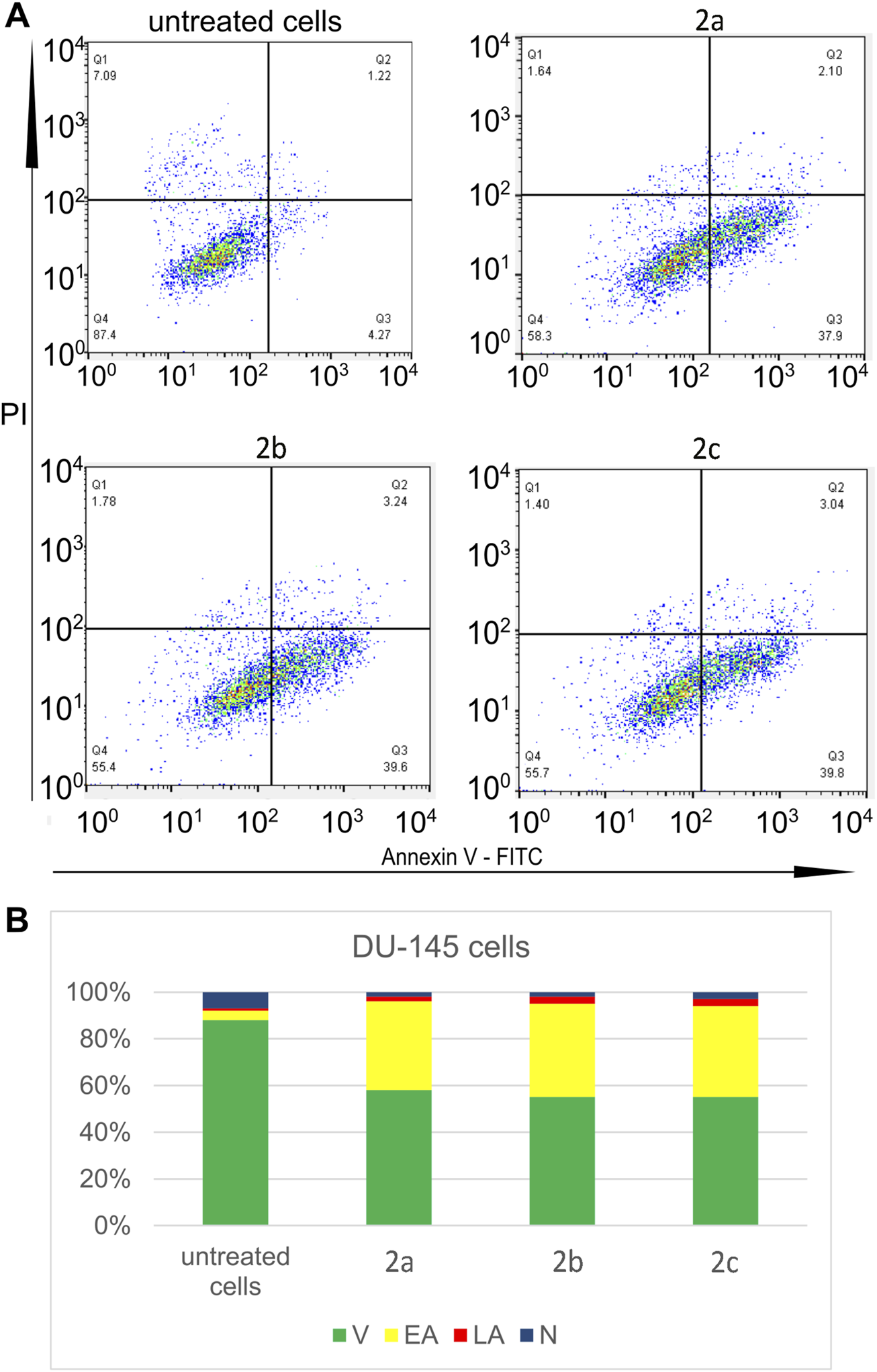 Scatter plots and a bar chart analyzing DU-145 cell treatments. Scatter plots (A) show untreated and treated cells with Annexin V-FITC vs. PI staining, divided into quadrants. The bar chart (B) compares the percentage distribution of viable (V), early apoptotic (EA), late apoptotic (LA), and necrotic (N) cells across untreated cells and treatments 2a, 2b, and 2c.