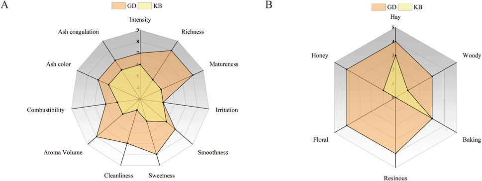 Radar charts labeled A and B compare attributes of GD (orange) and KB (yellow). Chart A evaluates intensity, richness, matureness, irritation, smoothness, sweetness, cleanliness, aroma volume, combustibility, ash color, and ash coagulation. Chart B assesses hay, honey, floral, resinous, baking, and woody characteristics.