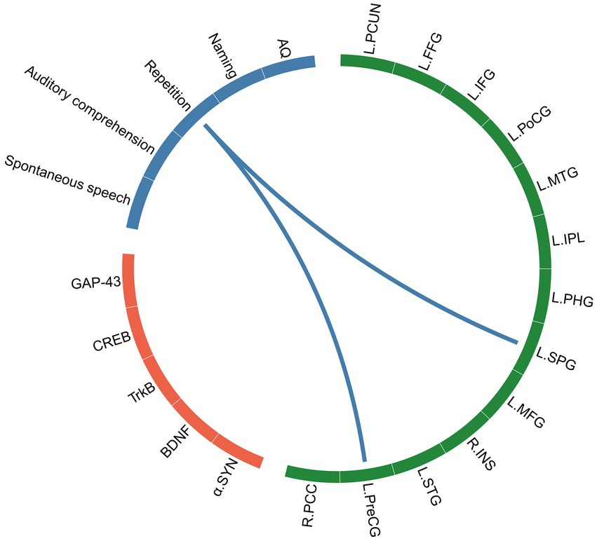 Circular diagram displaying connections between cognitive functions, proteins, and brain regions. Blue section shows language functions, red for proteins, and green for brain regions, connected by lines indicating relationships.