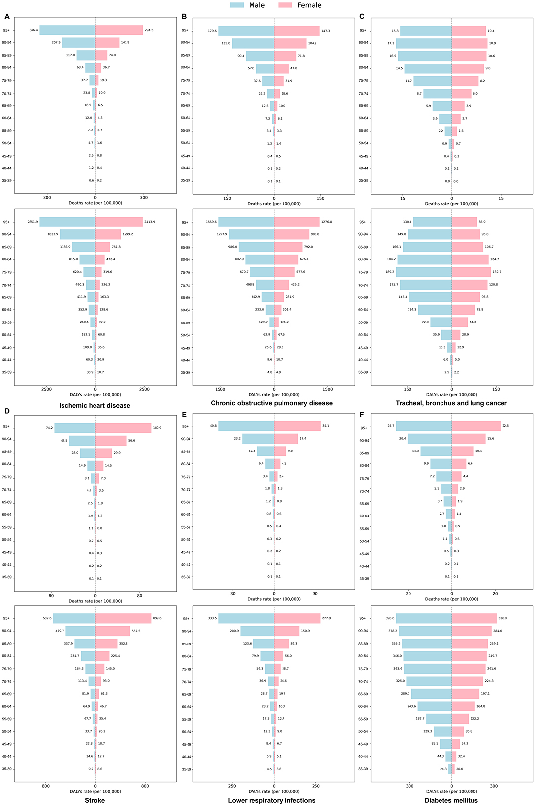 Bar chart grid comparing death and DALY rates per 100,000 for males and females across various health conditions. Charts A to D show death rates for ischemic heart disease, chronic obstructive pulmonary disease, tracheal, bronchus, and lung cancer, and stroke. Charts E to F display DALY rates for lower respiratory infections and diabetes mellitus. Blue bars represent males, and pink bars represent females, with age groups detailed on the y-axis.