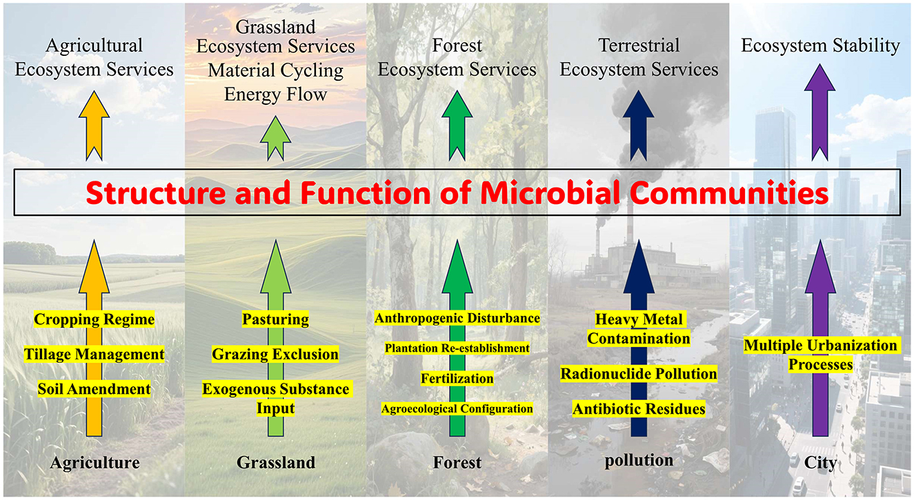 This illustration depicts the impact of human activities on the structure and function of microbial communities, encompassing five aspects: agricultural practices, grassland management, forestry management, pollution, and urban construction. The yellow elements represent specific human activities. The uppermost section illustrates the specific effects of these human activities on the structure and function of microbial communities.
