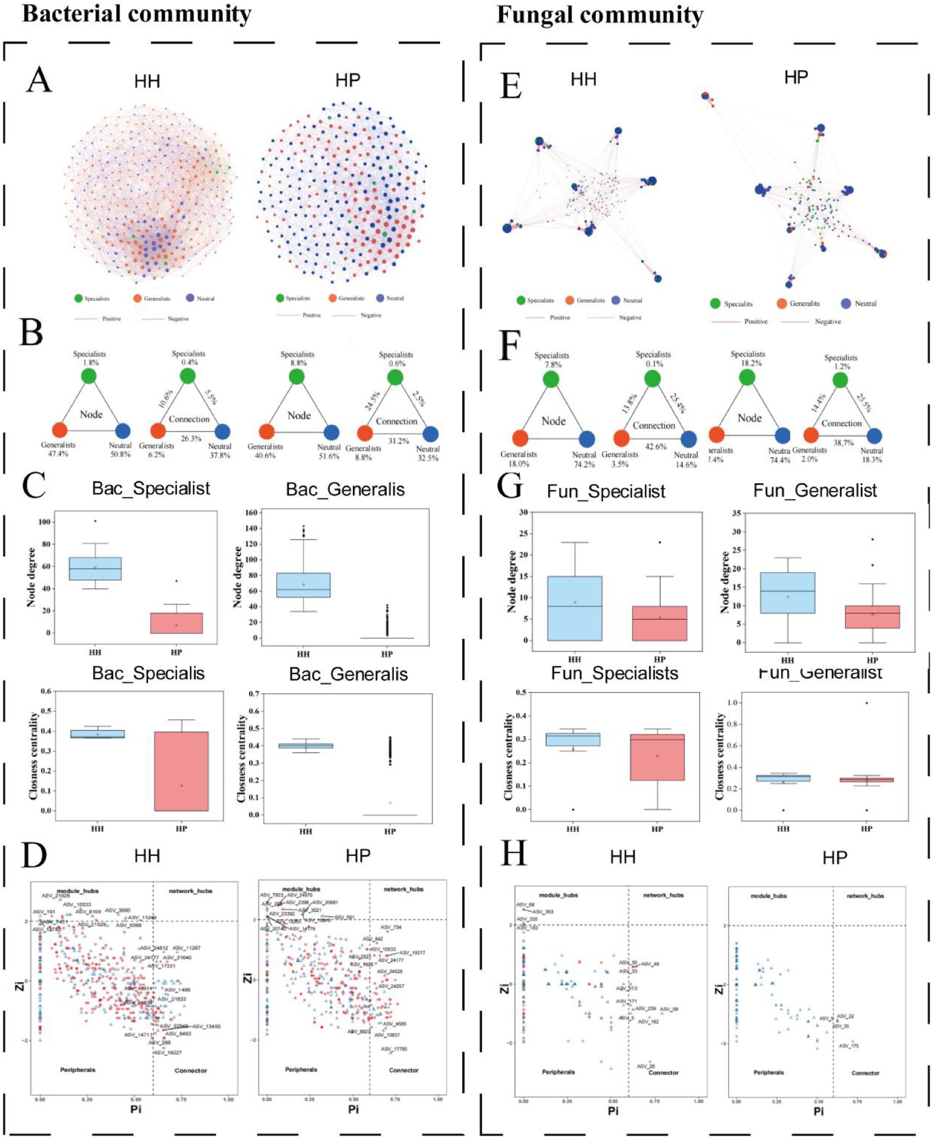 Diagram comparing bacterial and fungal communities in HH and HP environments. Panels A and E show network models. Panels B and F depict node connections. Panels C and G feature box plots of node degree and closeness centrality. Panels D and H include scatter plots categorizing nodes as peripherals, connectors, or hubs.