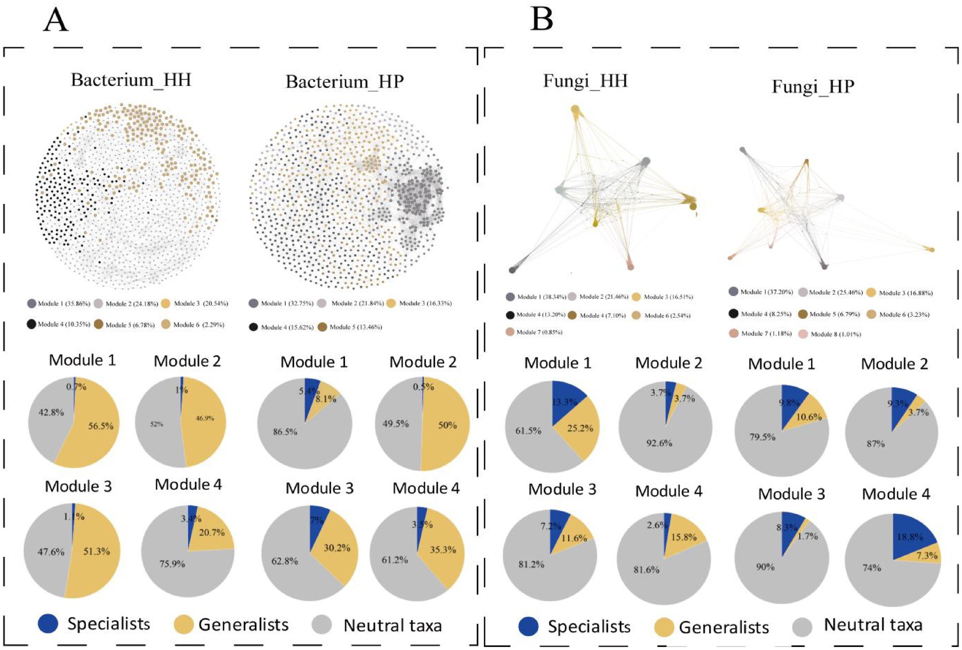 Two panels labeled A and B. Panel A shows network diagrams for bacteria in HH and HP environments with nodes in different colors representing six modules. Below, pie charts display proportions of specialists, generalists, and neutral taxa in modules, with colors blue, yellow, and gray. Panel B shows network diagrams for fungi in HH and HP environments with similarly colored nodes for eight modules. Below, pie charts depict the proportions of specialists, generalists, and neutral taxa, using the same color scheme. Each module's percentage contribution is indicated in legends next to the diagrams.