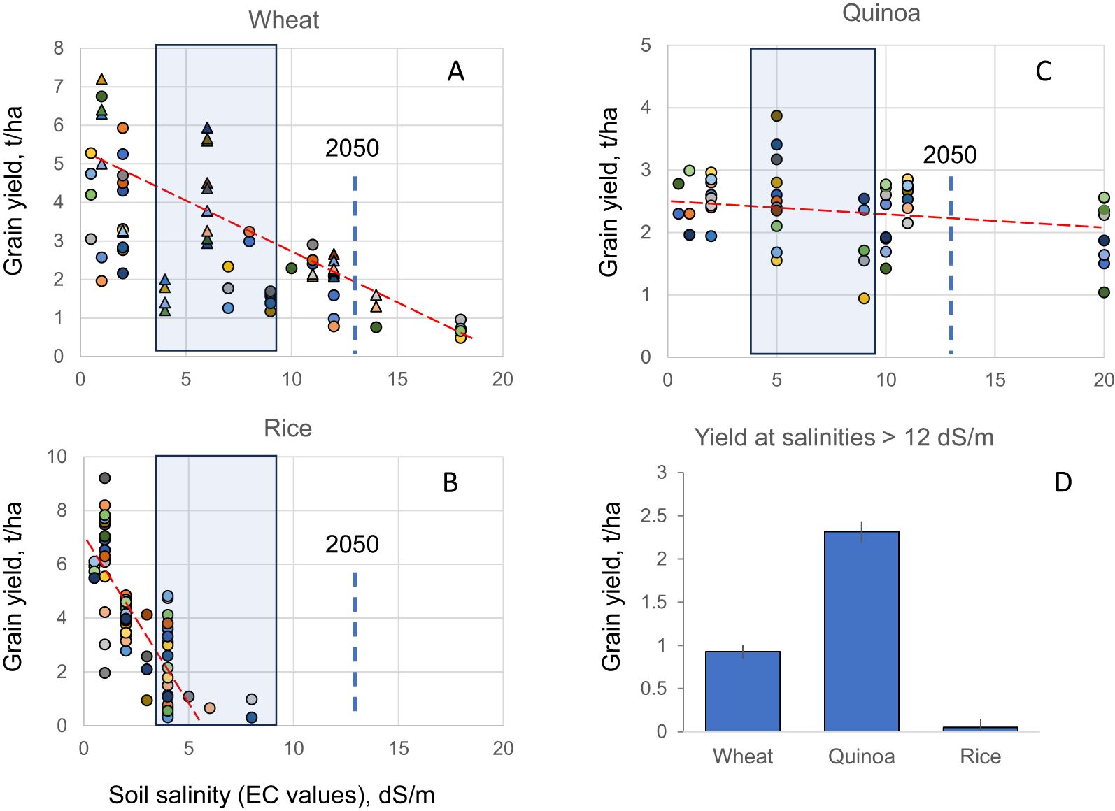 Four graphs depict grain yield against soil salinity. Graph A shows a negative trend for wheat. Graph B shows rice also declining. Graph C depicts quinoa with a slight positive trend. Graph D is a bar chart, indicating quinoa yields highest in high salinity, followed by wheat and rice.