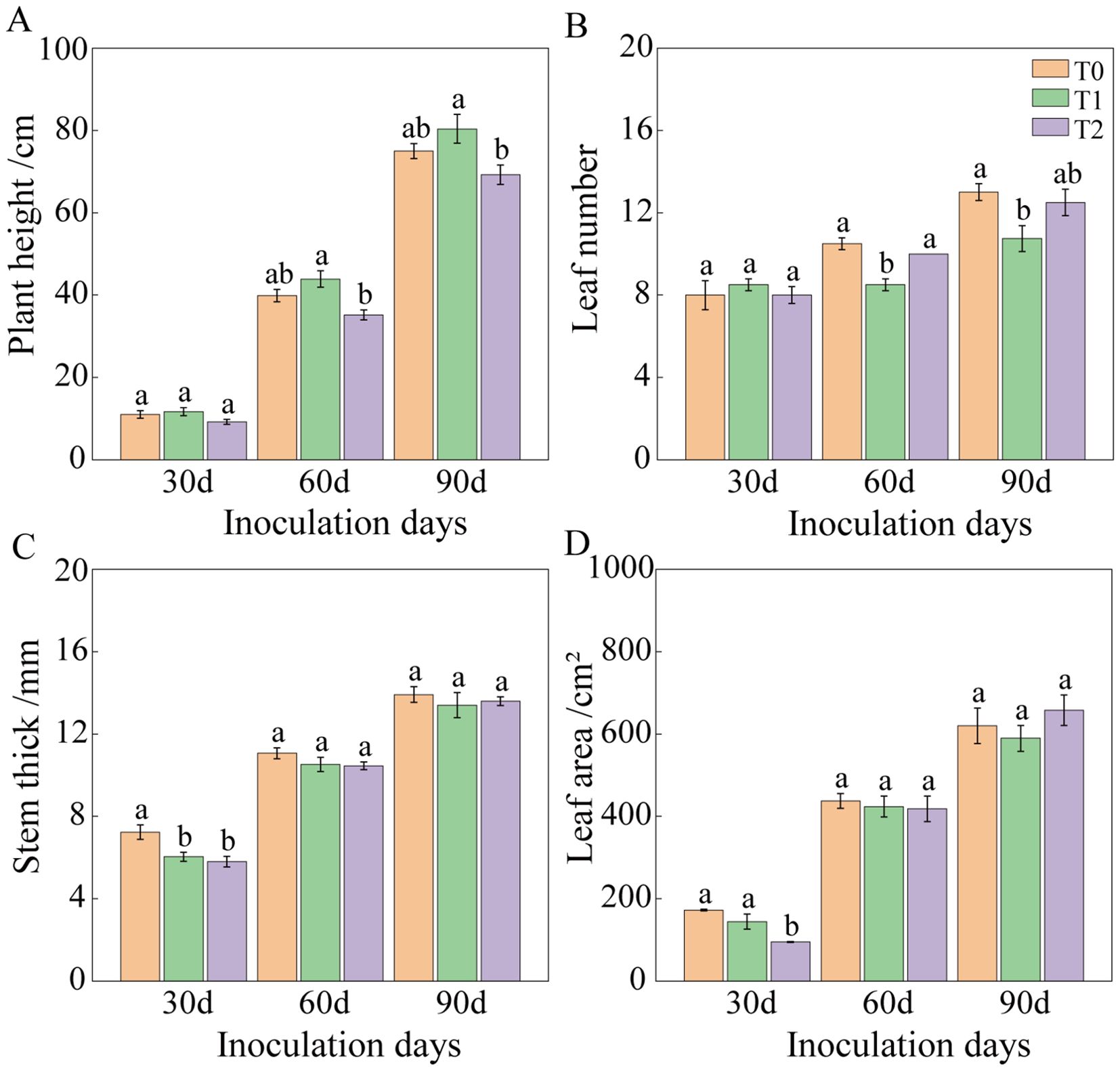 Bar graphs labeled A to D compare plant height, leaf number, stem thickness, and leaf area over 30, 60, and 90 days of inoculation (30d, 60d, and 90d) under three treatments (T0, T1, and T2). Each graph shows growth trends with error bars and statistical significance indicated by letters above the bars.