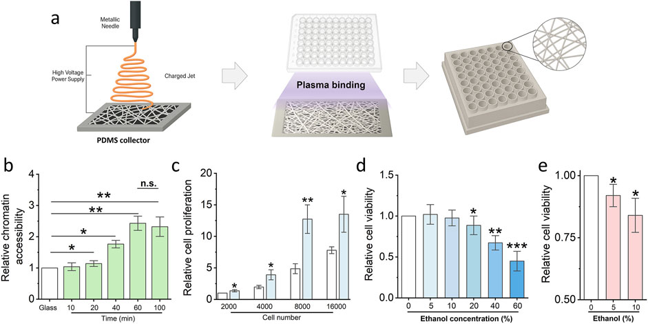 Illustration depicting a setup and results of a cell study. Panel (a) shows a metallic needle dispensing a charged jet onto a PDMS collector, with plasma binding leading to a well plate structure. Panel (b) presents a bar chart of relative chromatin accessibility increasing over time. Panel (c) shows a rise in relative cell proliferation with increased cell numbers. Panel (d) illustrates the effect of ethanol concentration on cell viability, decreasing with higher concentrations. Panel (e) displays cell viability relative to ethanol percentages, showing a decline at higher levels. Statistical significance is indicated by asterisks.