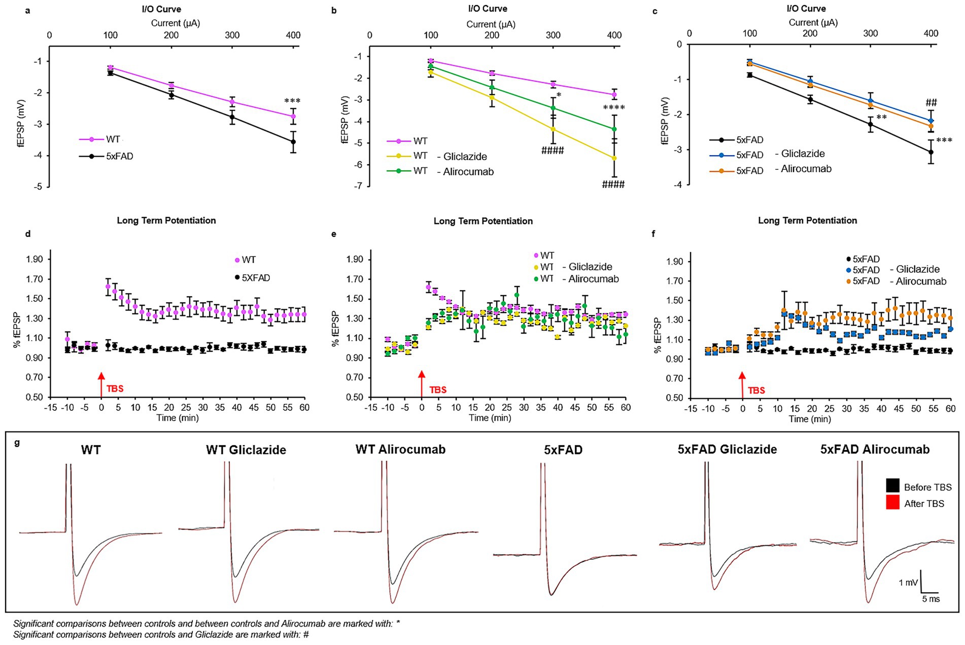 Graphs depict electrophysiological data examining synaptic function in different experimental conditions. Panels a to c show input/output curves for WT and 5xFAD with treatments Glipizide and Alirocumab, indicating differences in EPSP. Panels d to f represent long-term potentiation over time, highlighted by a theta-burst stimulation. Panel g shows traces of synaptic responses before and after stimulation. Significant comparisons are noted with asterisks and hashtags.