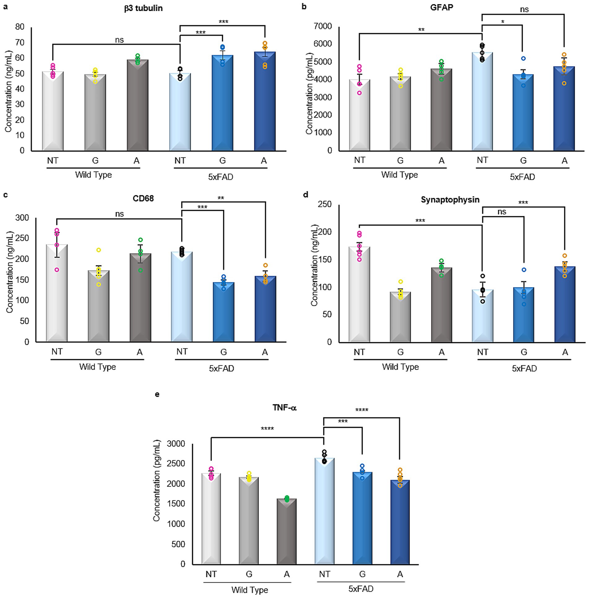 Bar graphs display protein concentrations in wild-type and 5xFAD mice. Panels: (a) β3 tubulin, (b) GFAP, (c) CD68, (d) Synaptophysin, (e) TNF-α. Each panel compares non-treated (NT), genotype (G), and amyloid-beta treated (A) conditions. Statistical significance is marked with asterisks and “ns” for not significant. Error bars indicate variability.