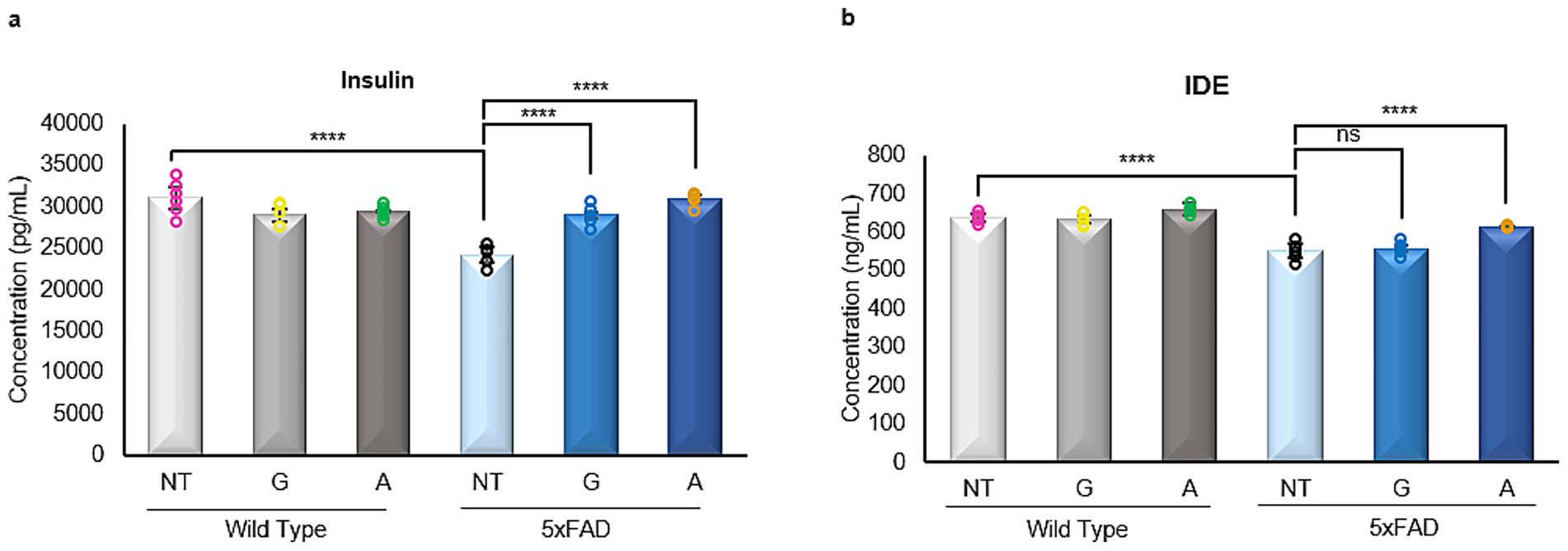Bar charts labeled “a” and “b” compare the concentrations of insulin and IDE, respectively, in wild type and 5xFAD groups. Insulin concentration is higher in the 5xFAD A group, while IDE concentration shows a significant difference in wild type NT and A groups. Statistical significance is indicated by asterisks and “ns” for non-significant results.