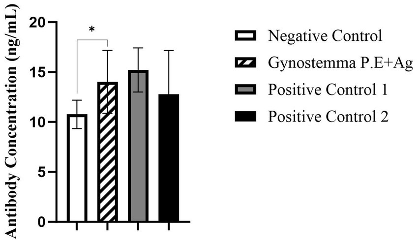 Bar graph showing antibody concentration (ng/mL) for four groups: Negative Control, Gynostemma P.E+Ag, Positive Control 1, and Positive Control 2. Gynostemma P.E+Ag has a significantly higher concentration compared to Negative Control, indicated by an asterisk. The concentrations range from approximately 10 to 17 ng/mL. Error bars represent variability.